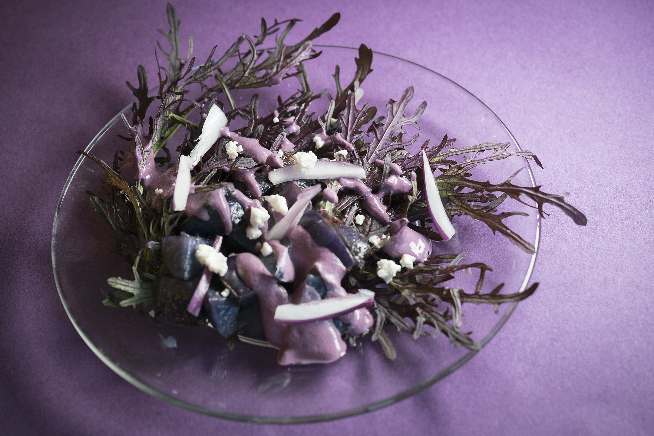 lady-fern-salad-01-050216.jpg