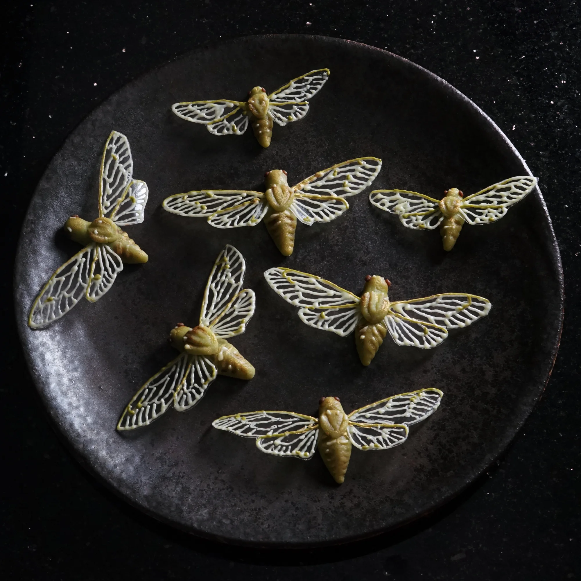 cicadassmall.jpg
