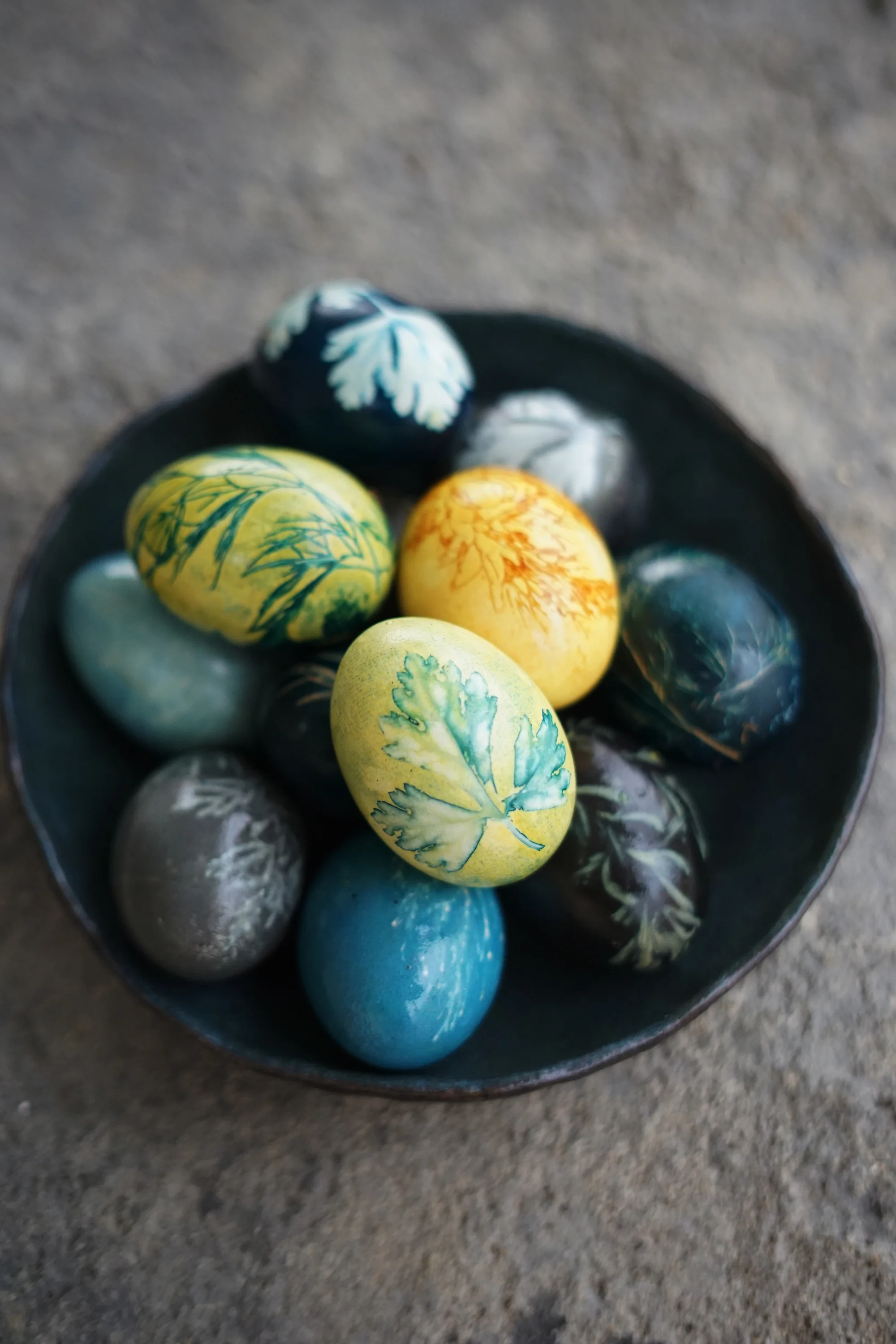 botanical eggs 3small.jpg