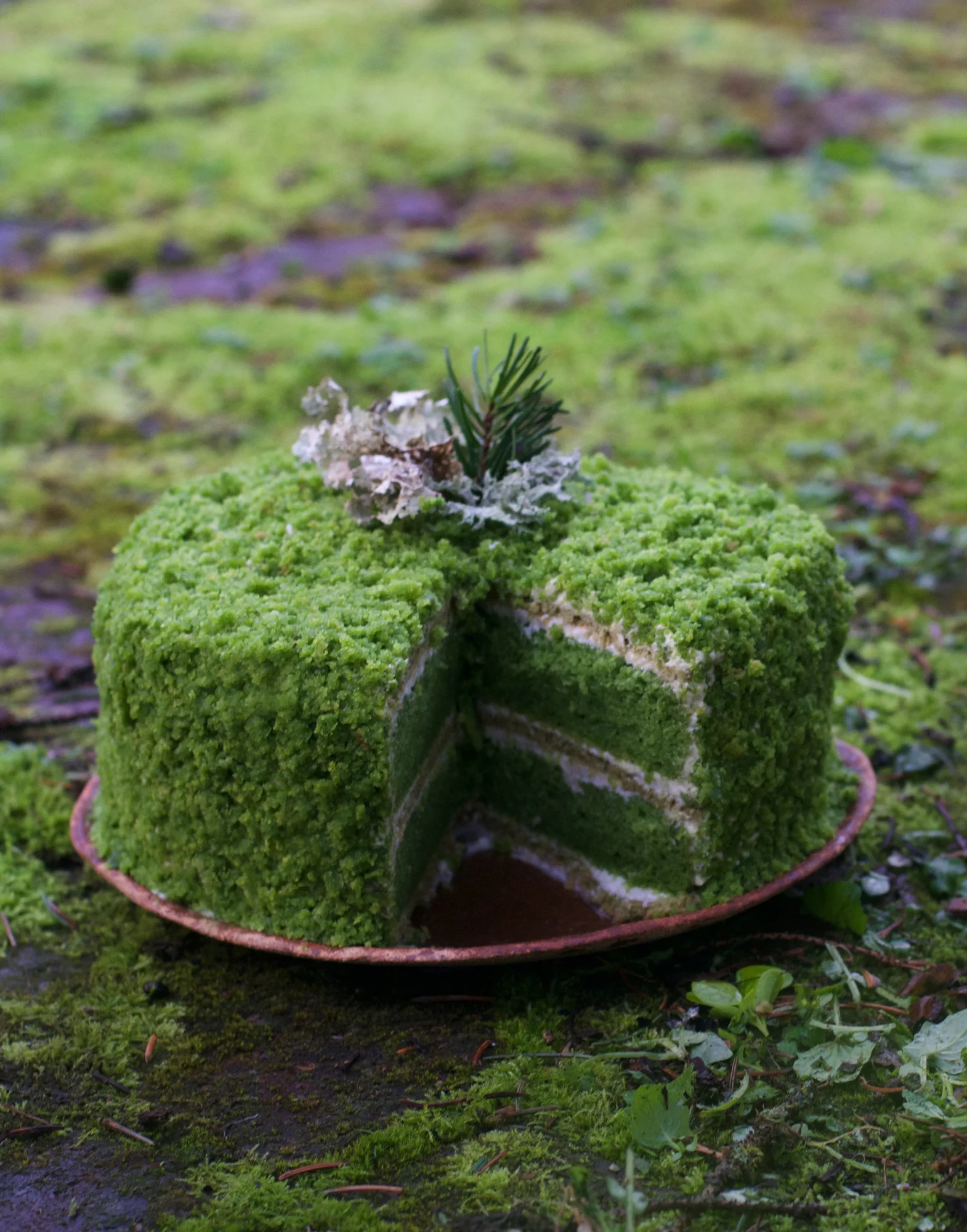 mosscake1small.jpg