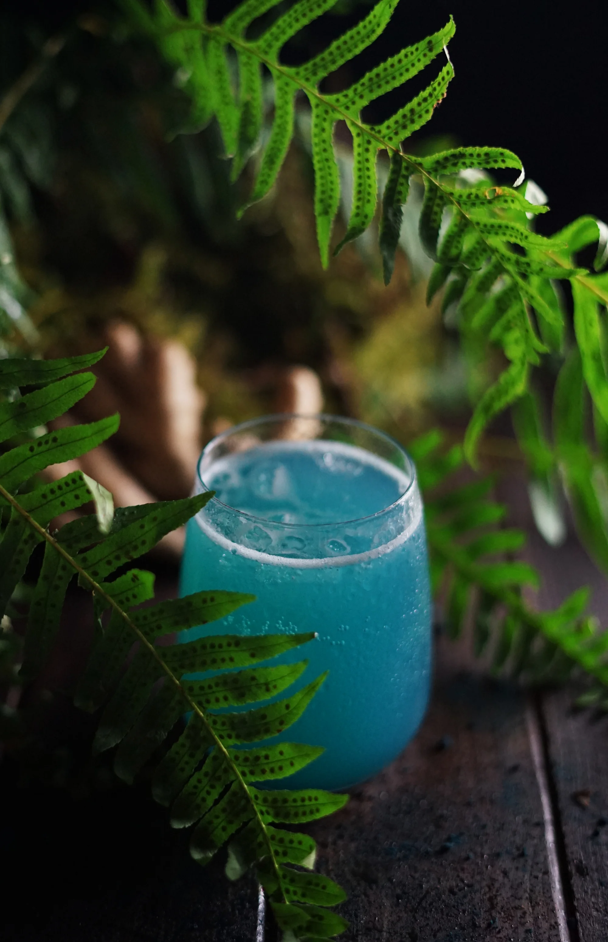 mermaiddrink1small.jpg