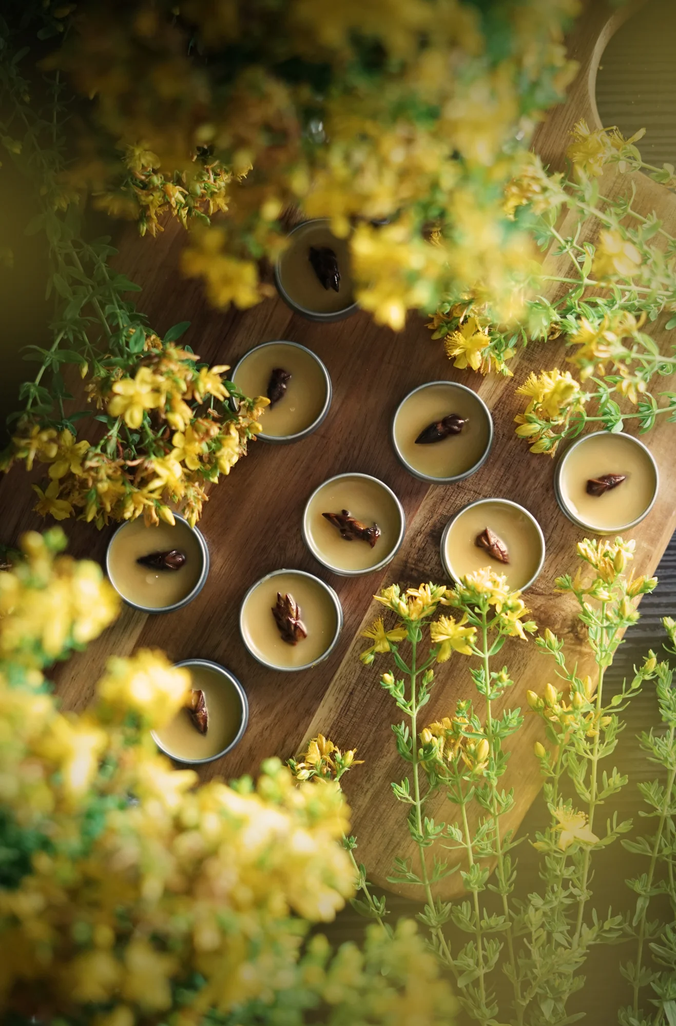 goldenbalm1small.jpg