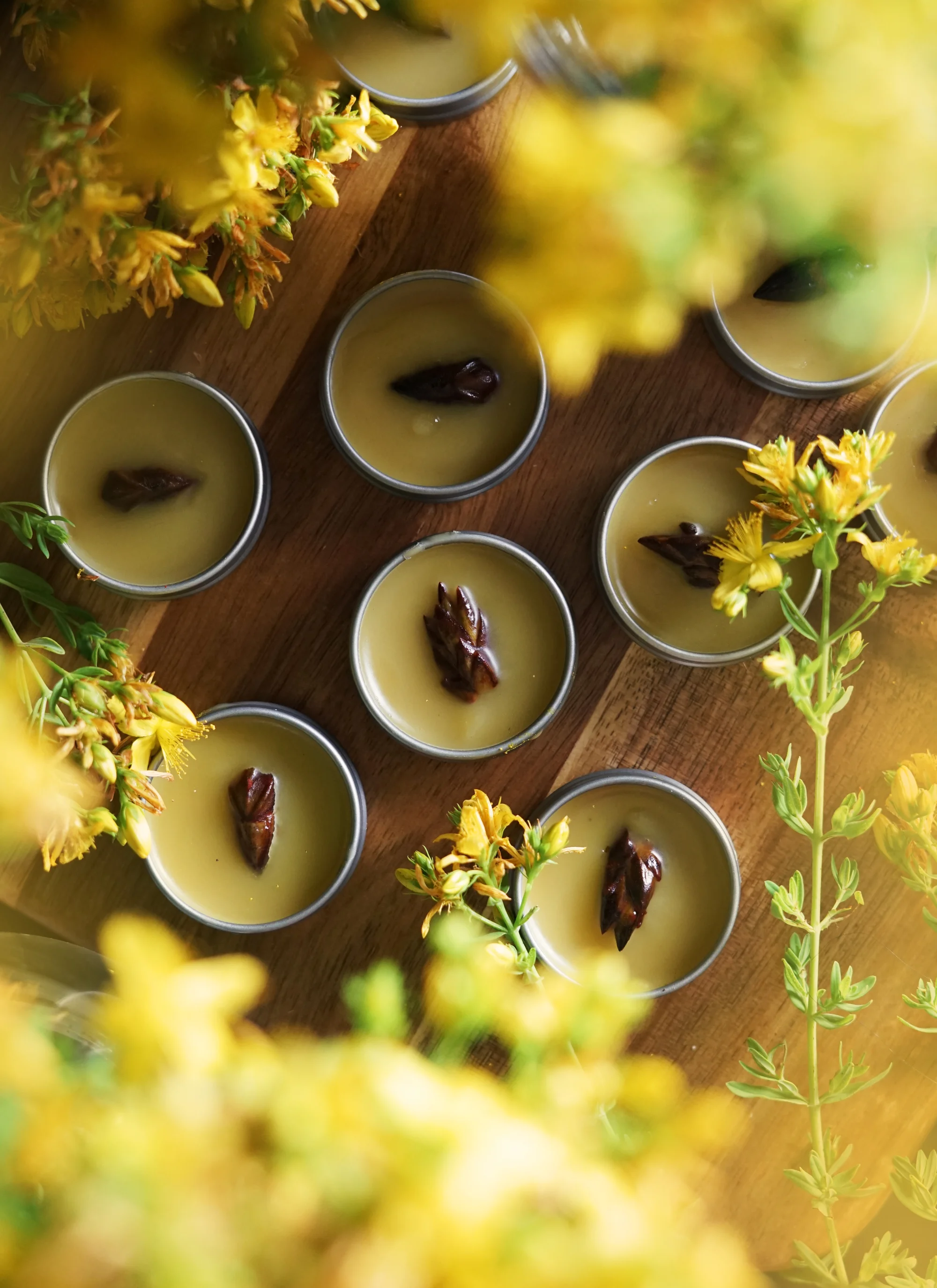 goldenbalm3small.jpg
