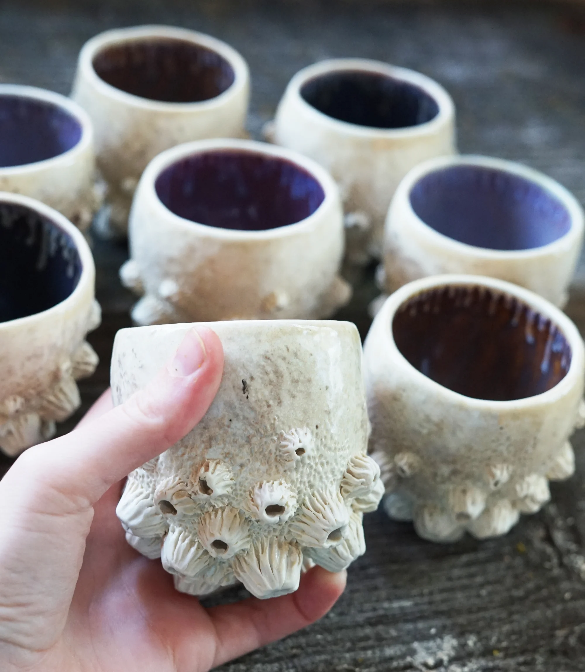purplebarnacles2small.jpg