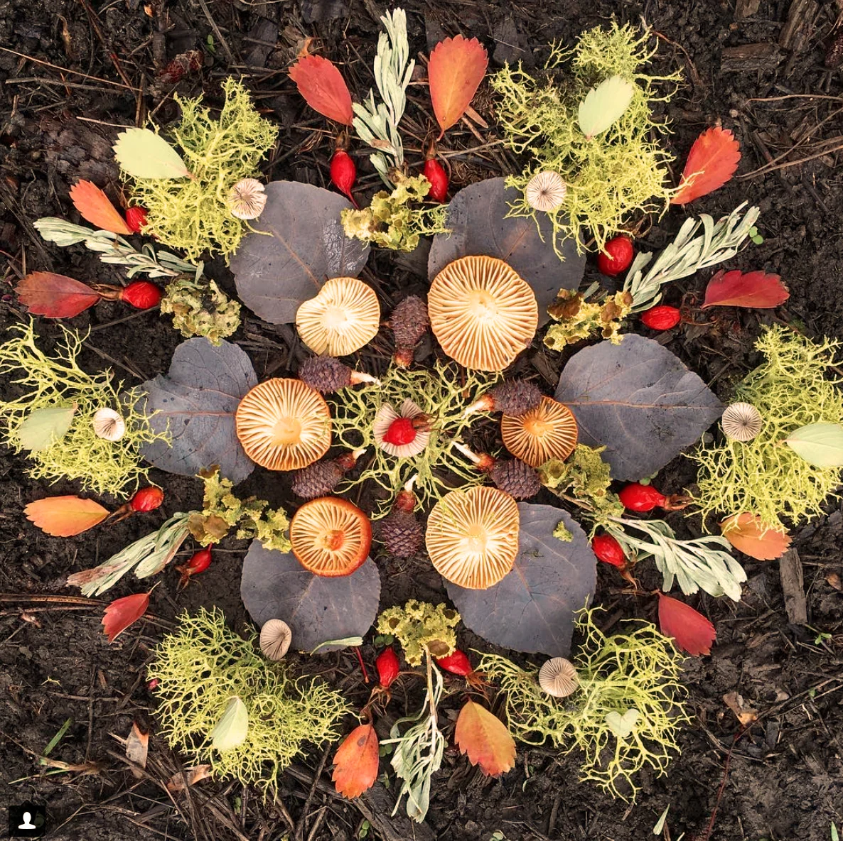 warm mandala.jpg