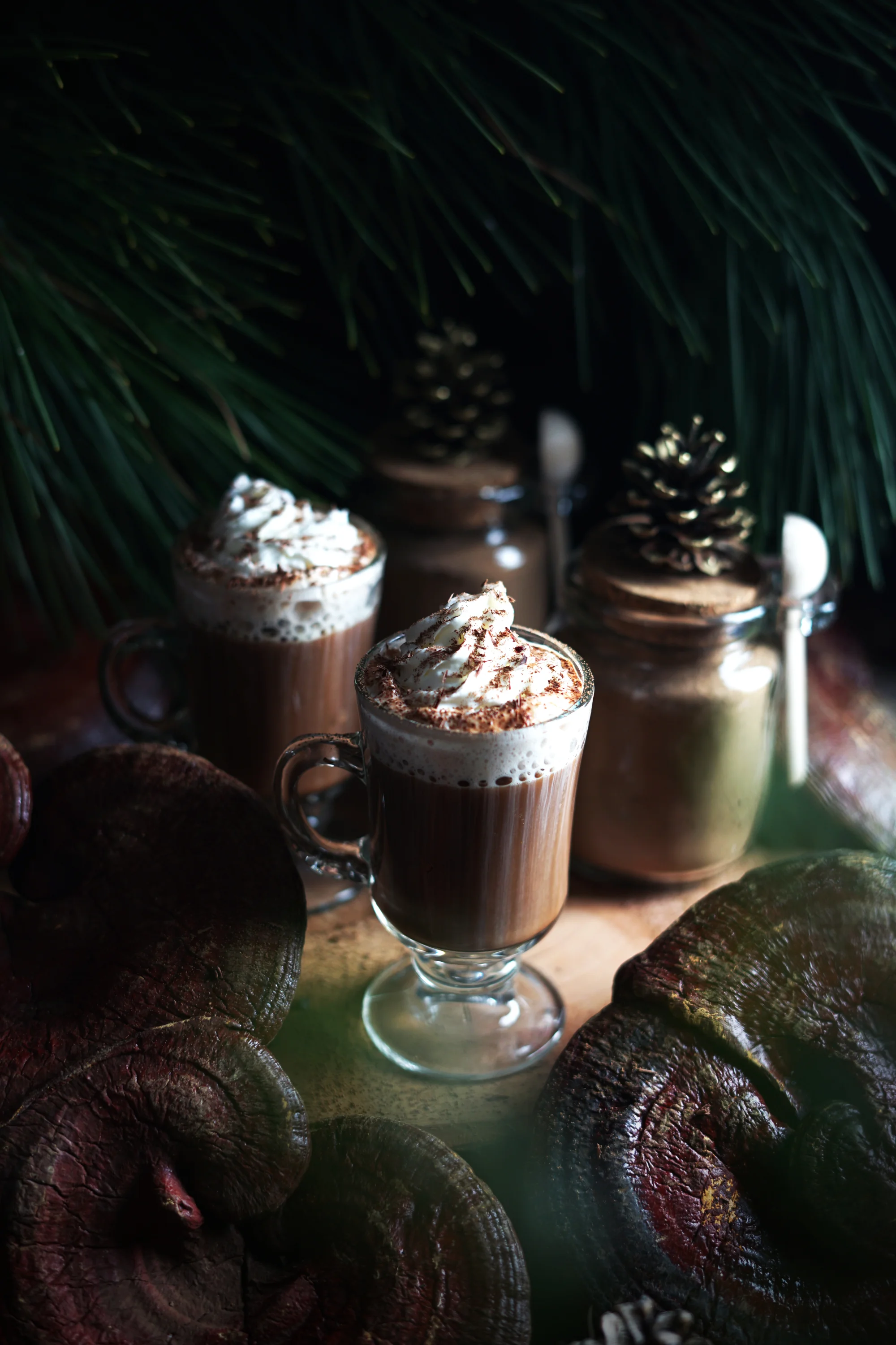 mushroomcocoa2small.jpg