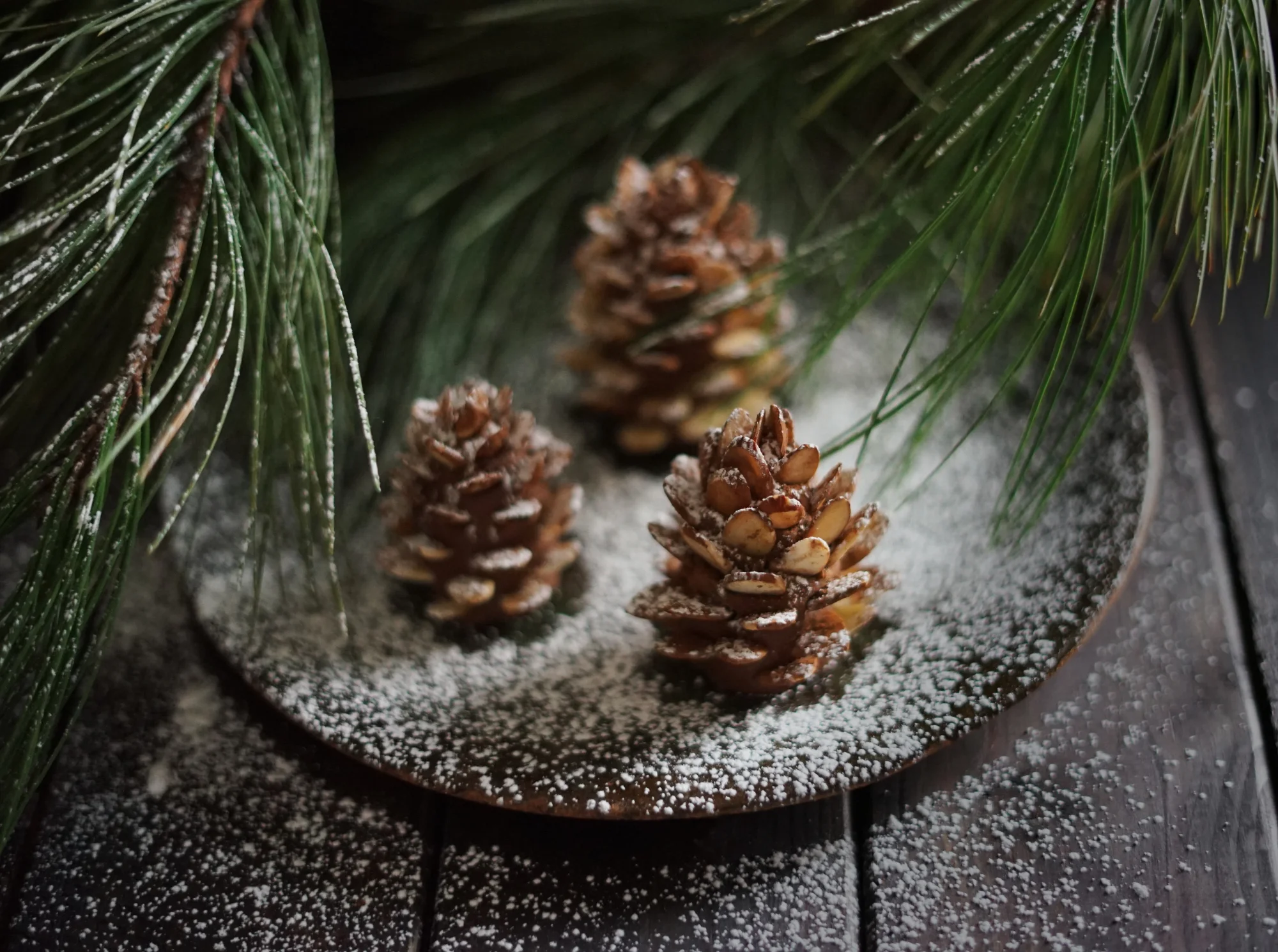 pinecones6small.jpg
