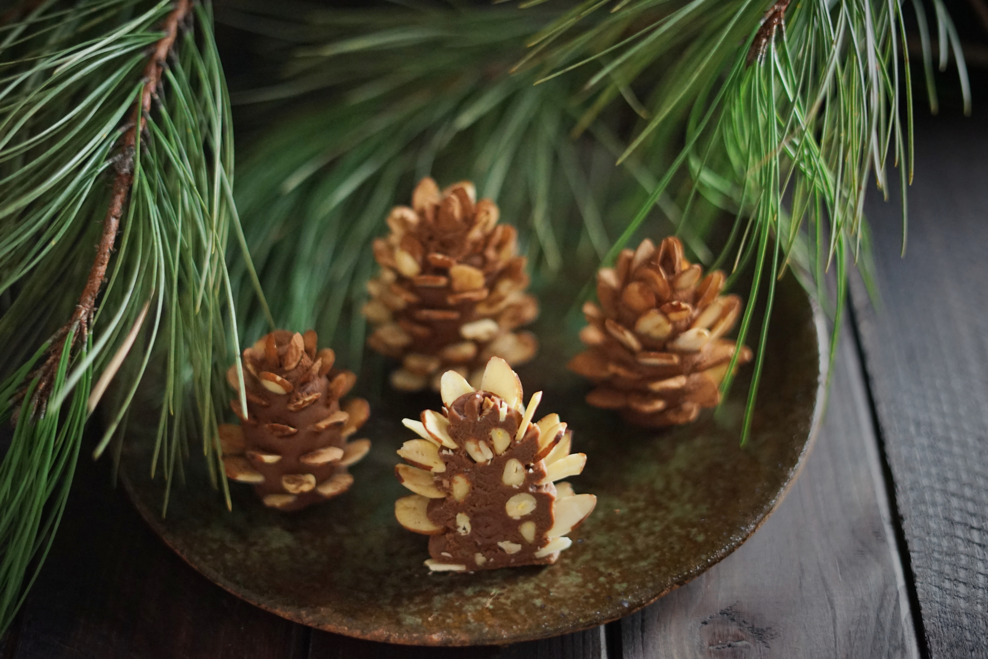 Black Spruce Cones Small Pine Cones Pine Cones Tiny Pine Cones Natural  Decor Bowl Filler 