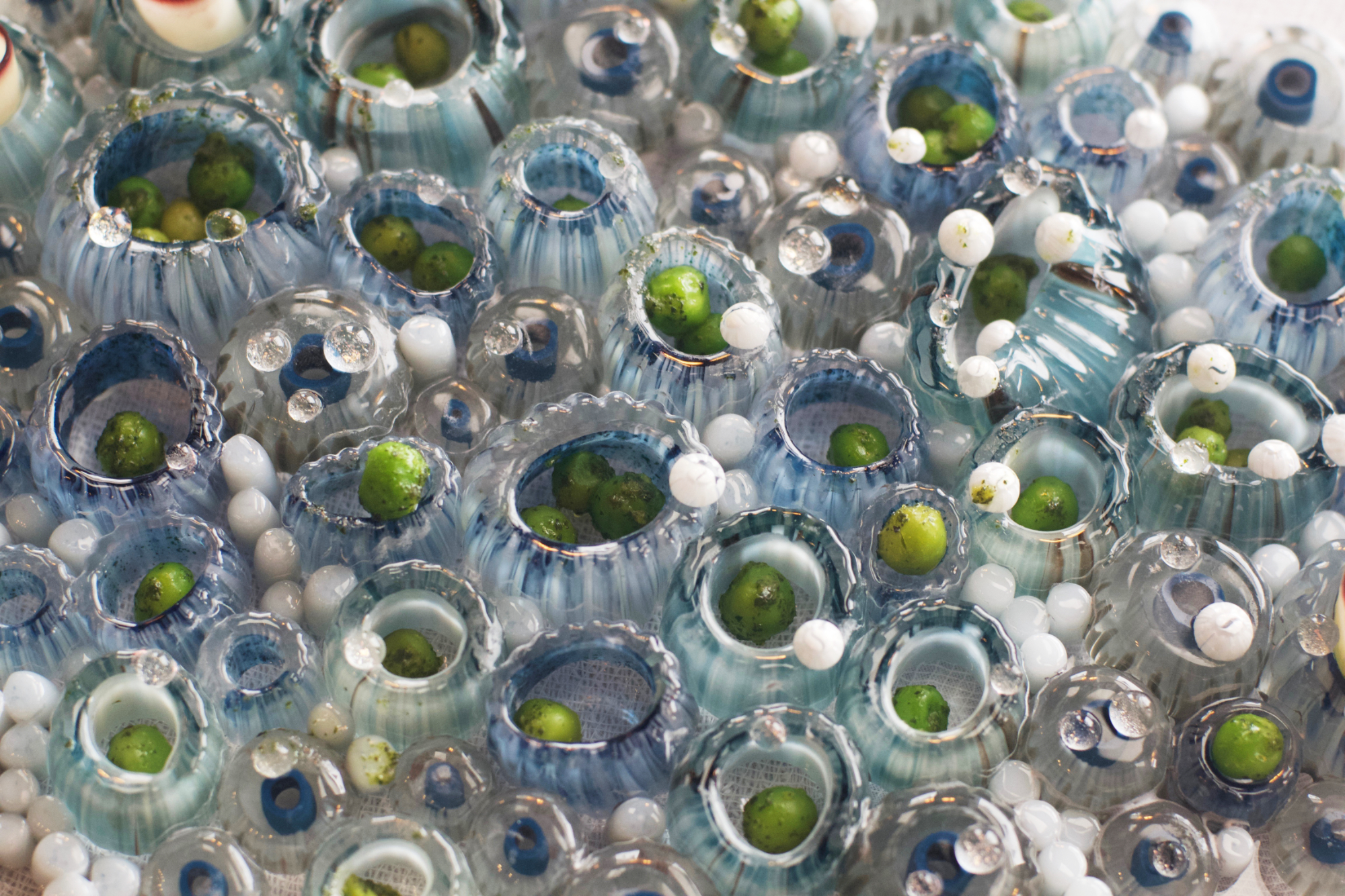intertidal6small.jpg