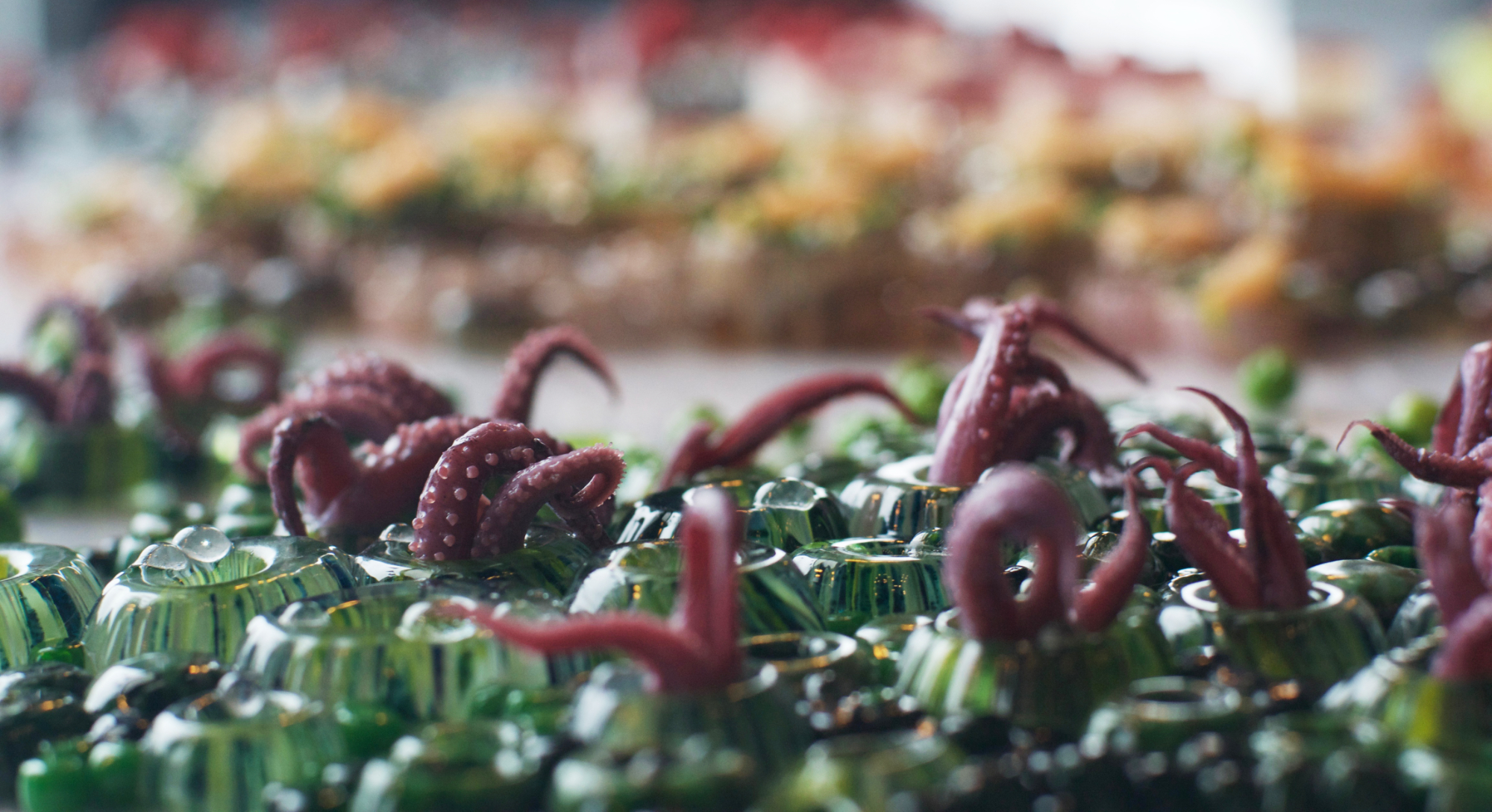 intertidal12small.jpg