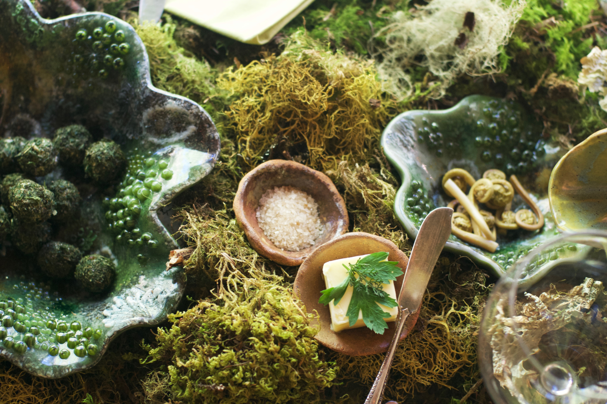 mossgazing21small.jpg