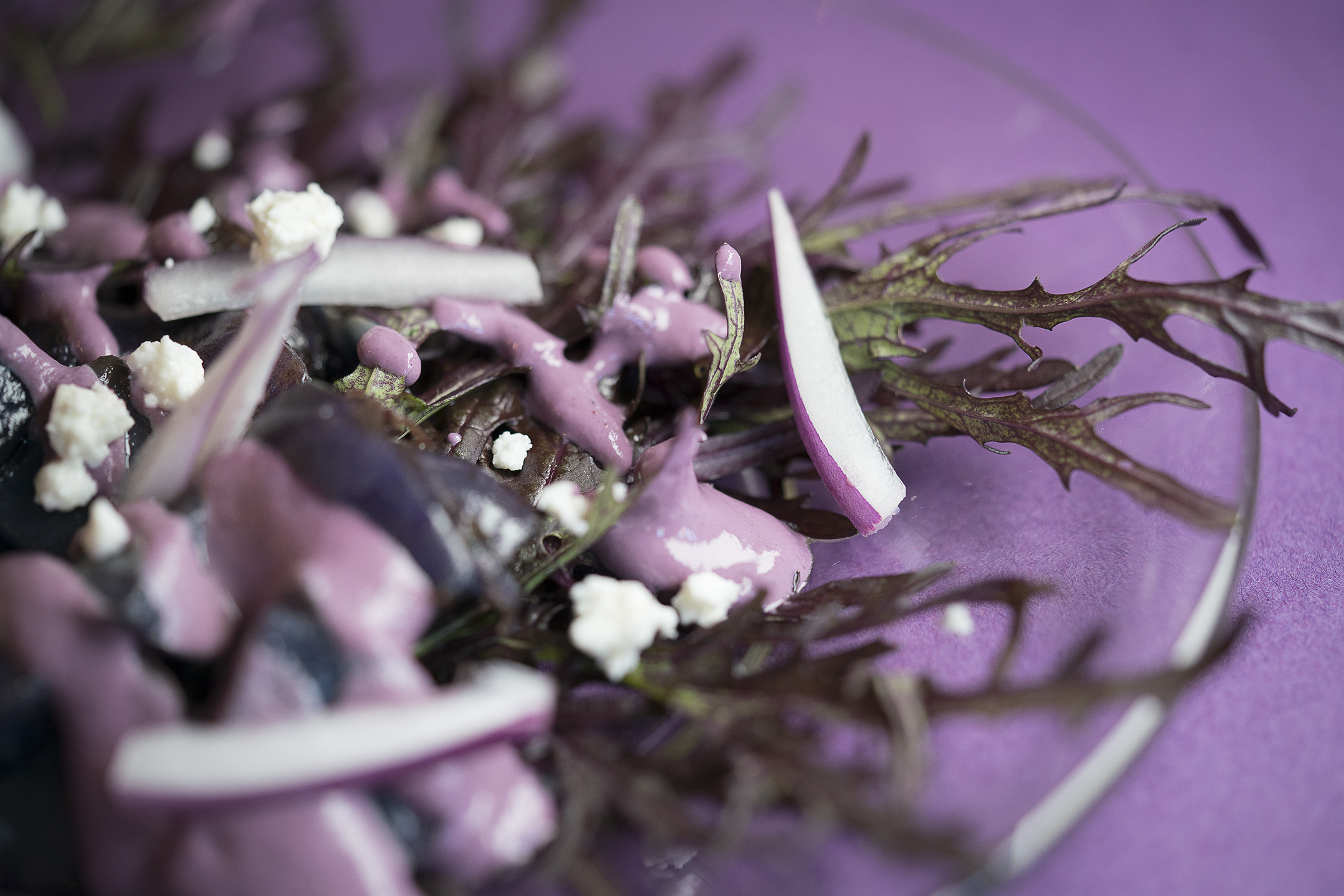 lady-fern-salad-02-050216.jpg