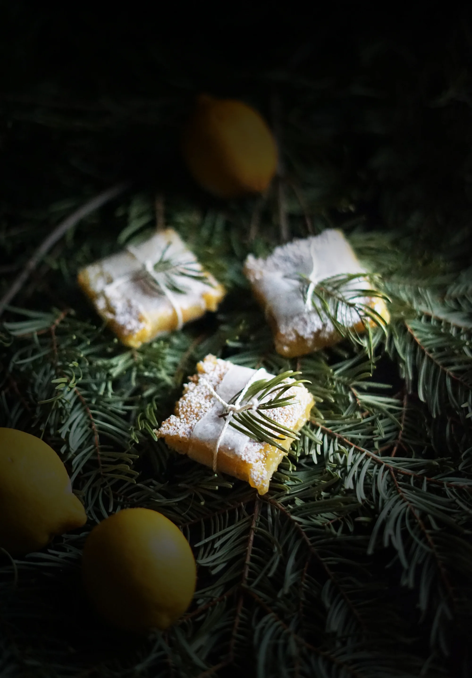 Going Tree Tasting and Baking Fir Lemon Bars