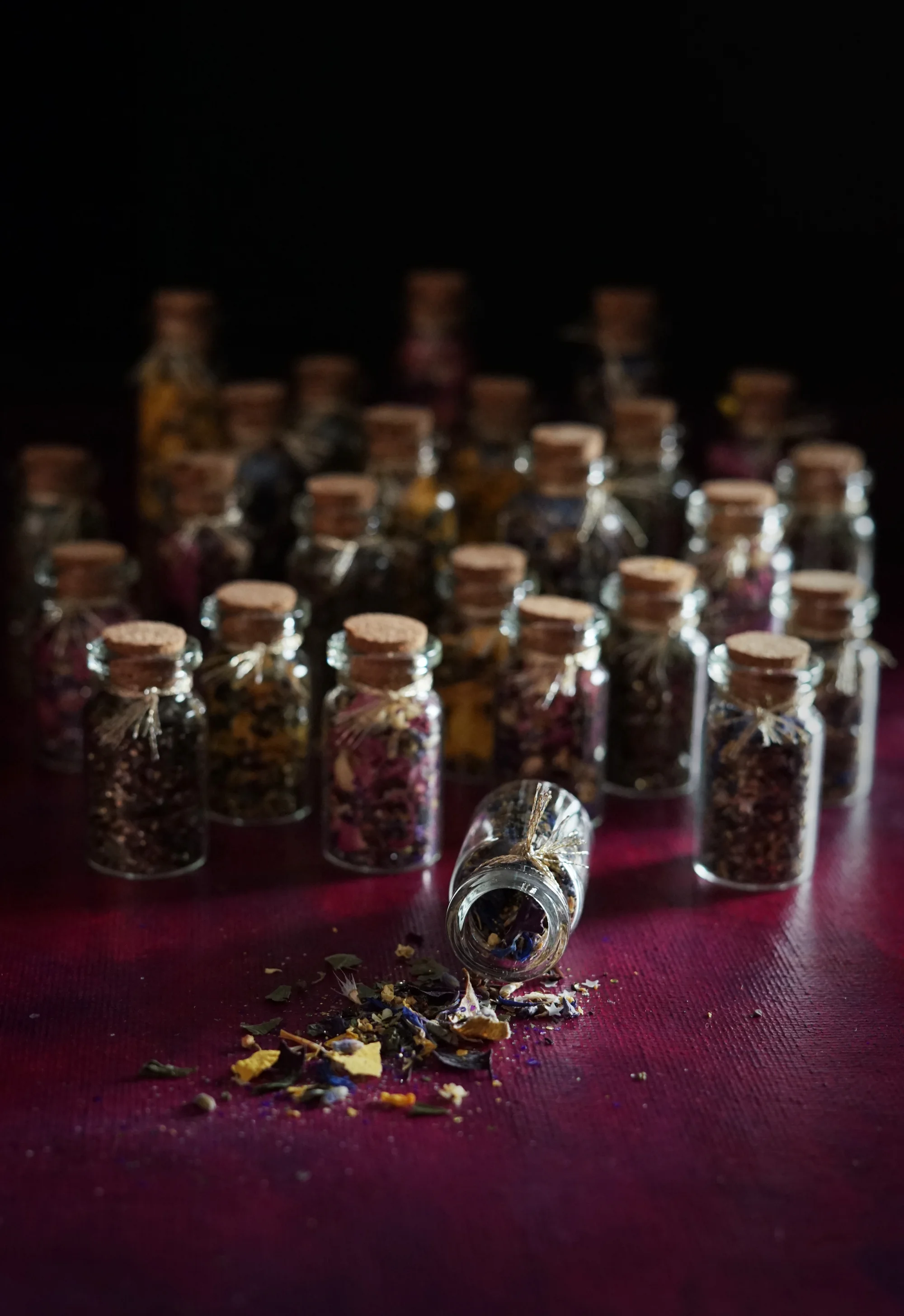fairydust2small.jpg