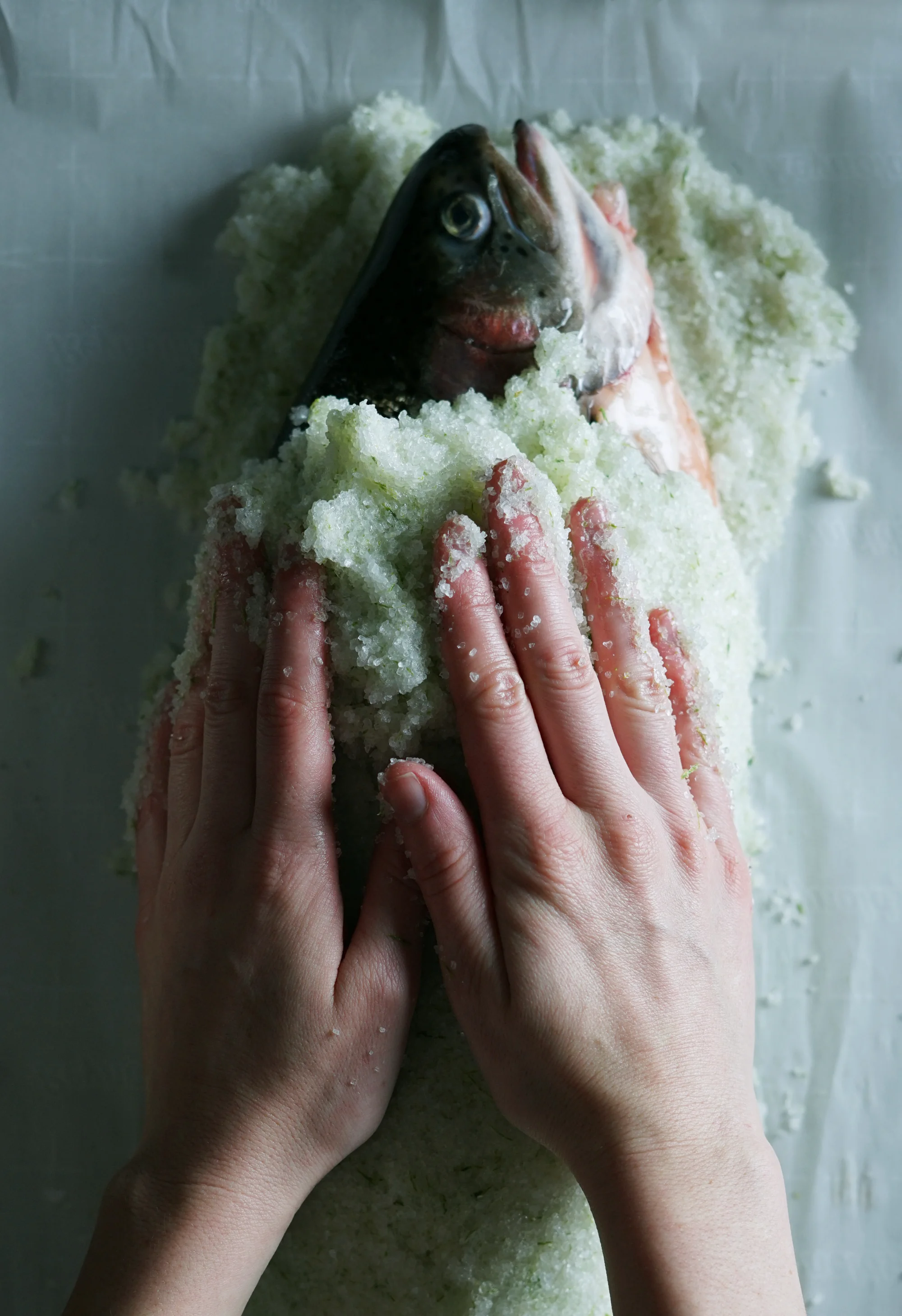 steelhead3small.jpg