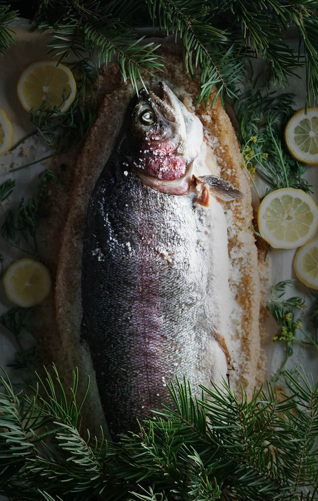 steelhead7small.jpg