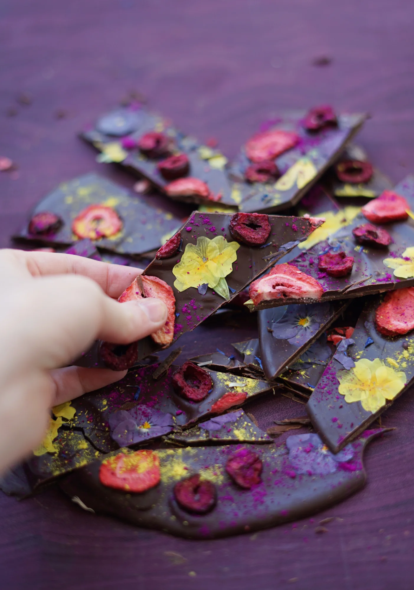 chocbark5small.jpg