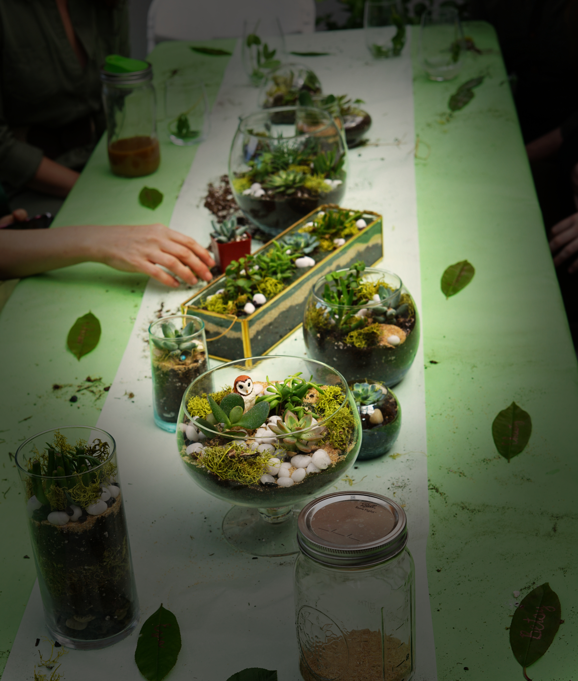 terrarium34small.jpg