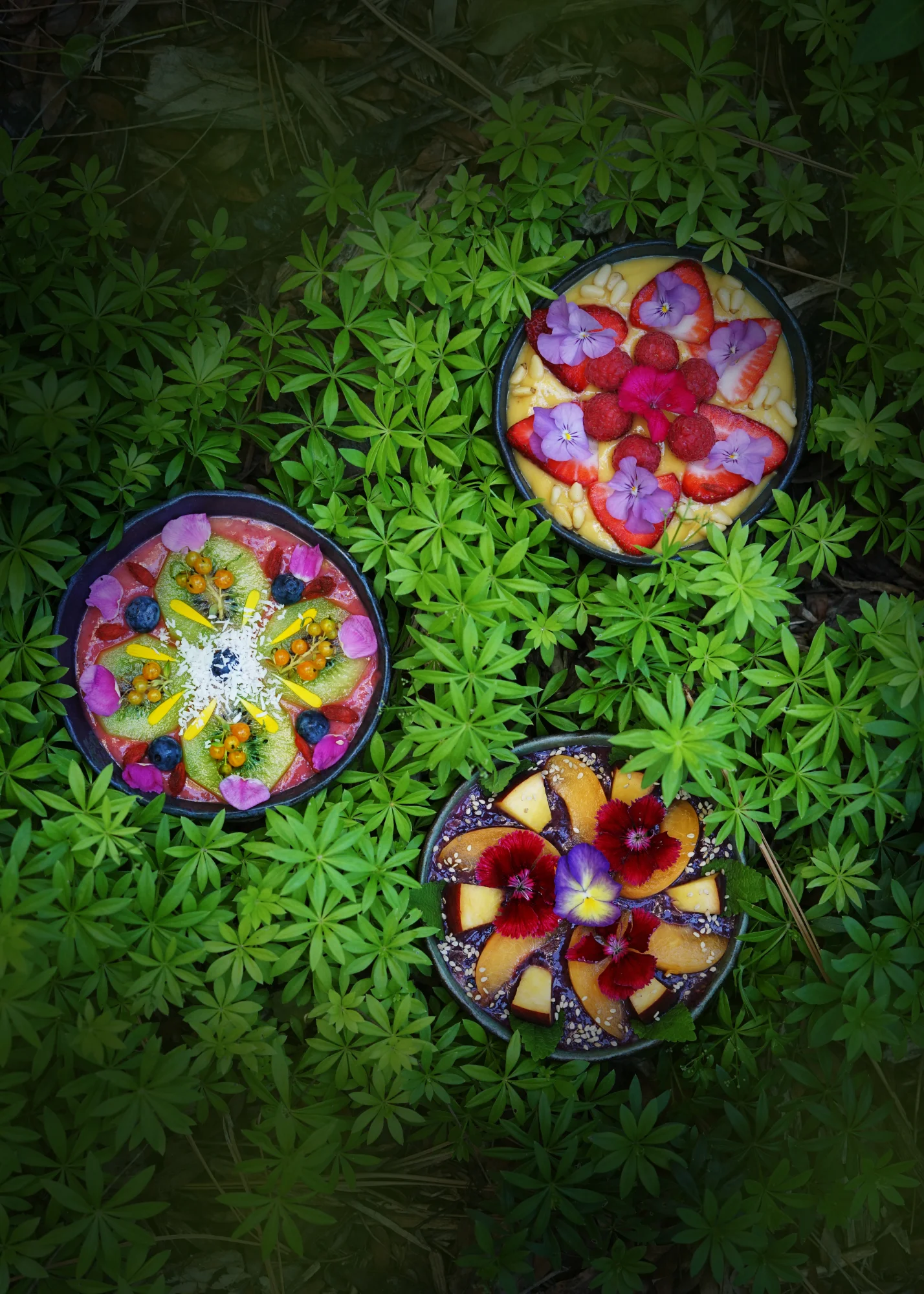 smoothiebowls3small.jpg