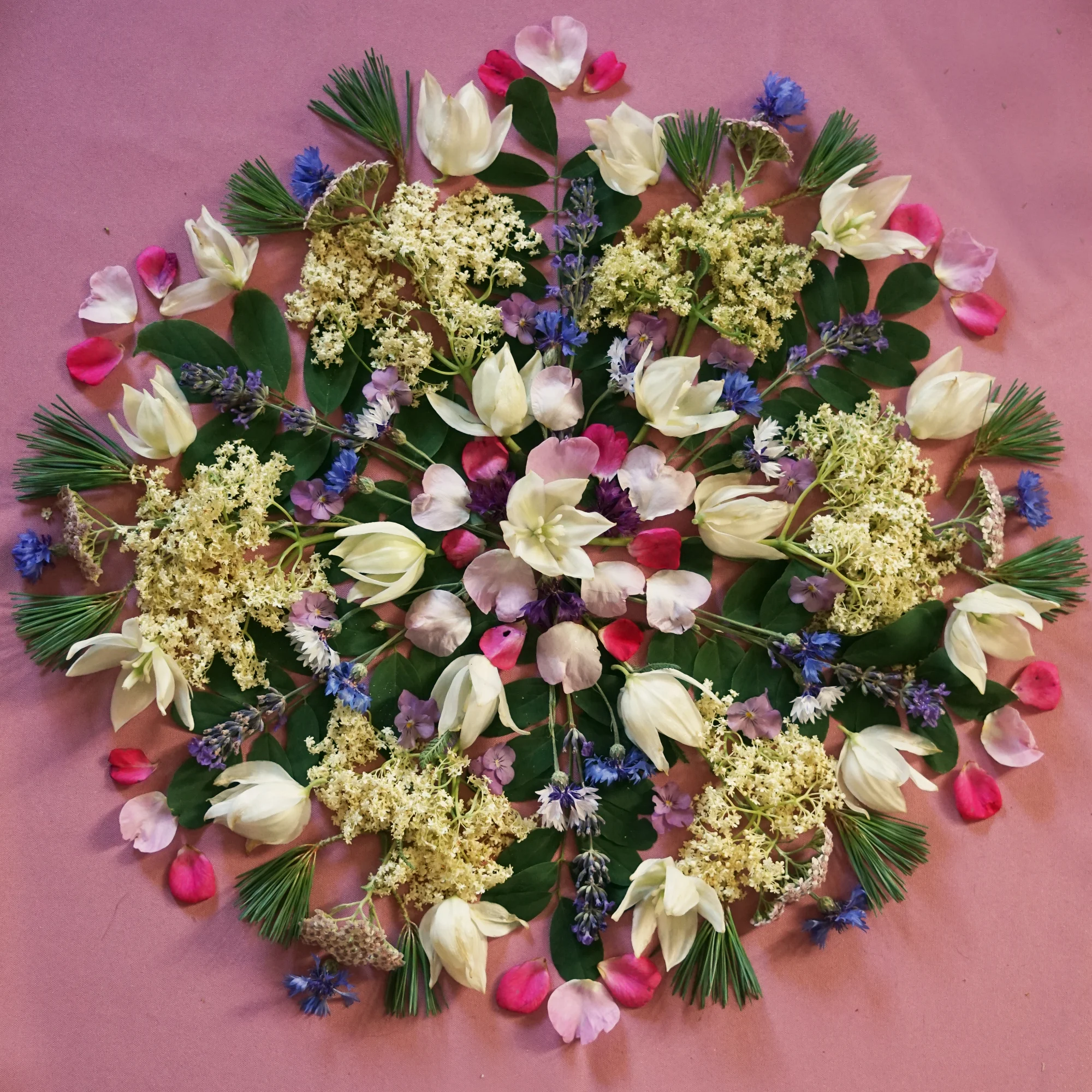 junemandala20194small.jpg