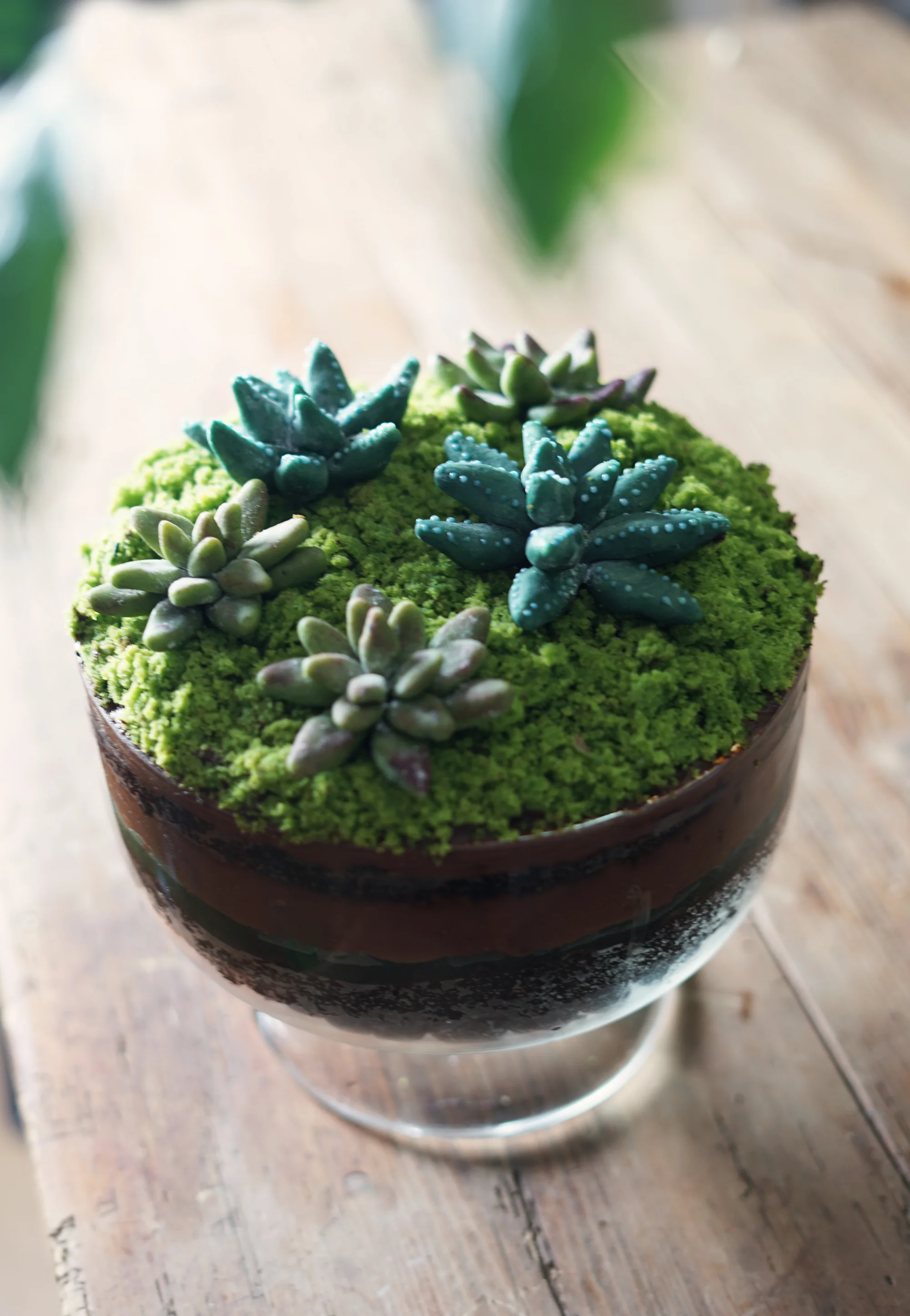 terrariumtrifle6small.jpg