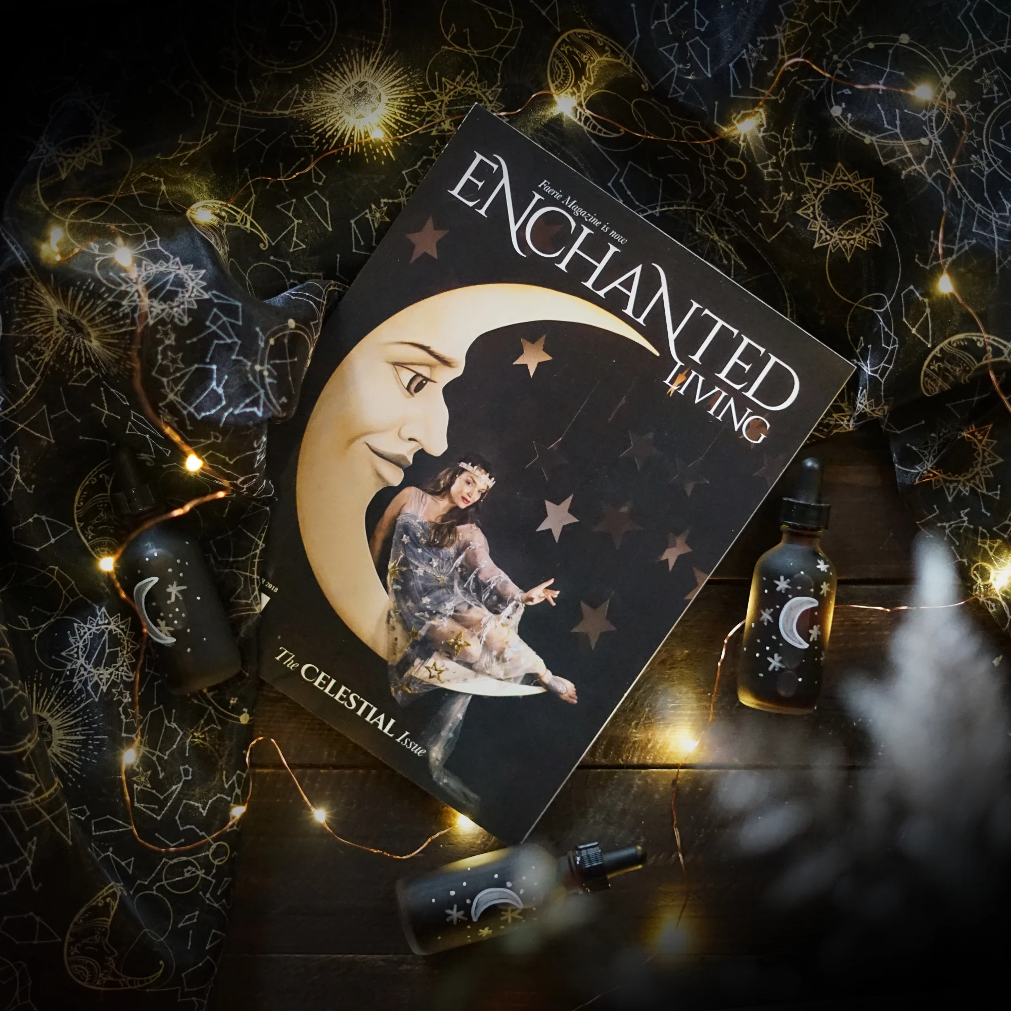 enchantedlivingwinter18.jpg