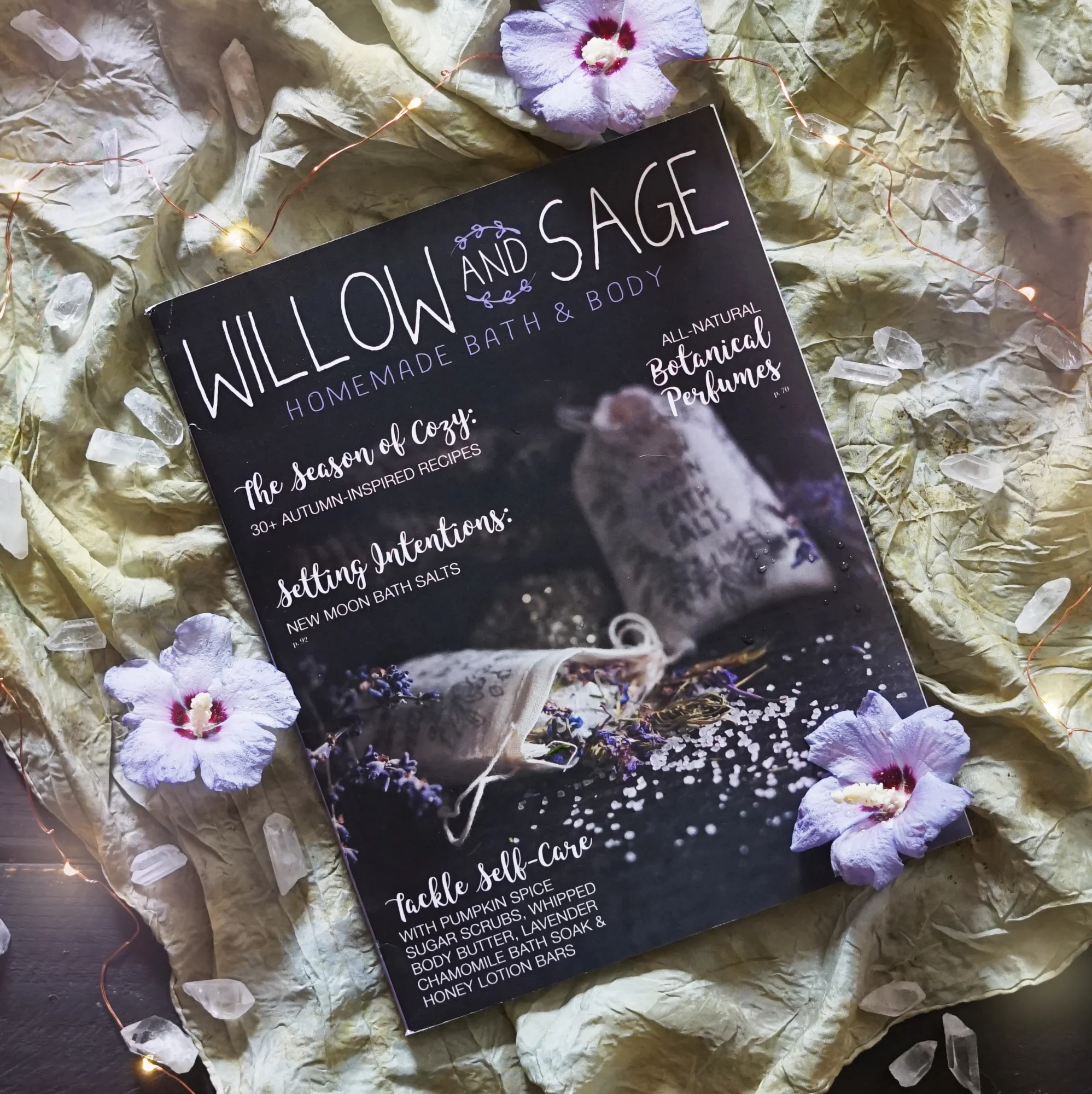 willow and sage 1.1.jpg