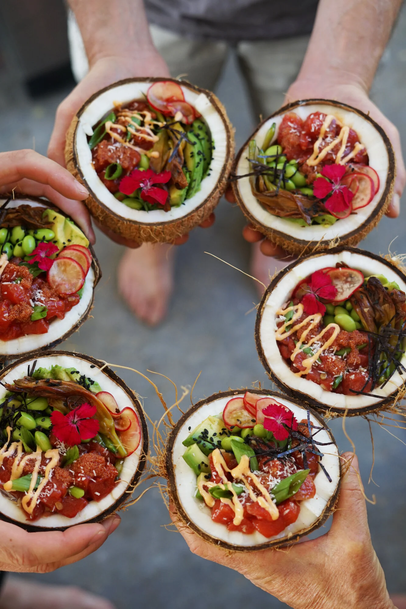 Download Watermelon and Daylily Poke Bowls: Why Mock Foods Deserve Celebration! — The Wondersmith
