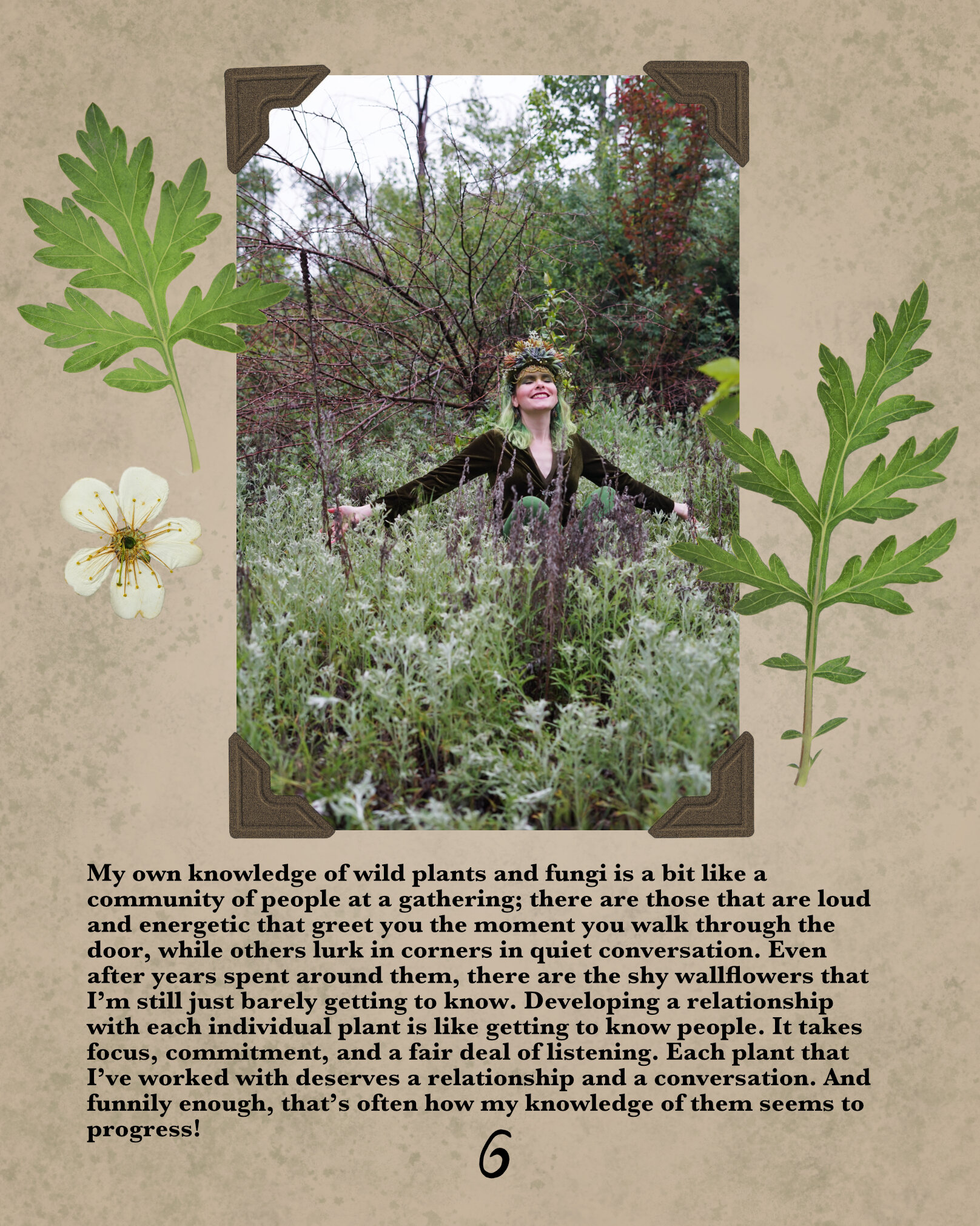 plant magic page 6.jpg