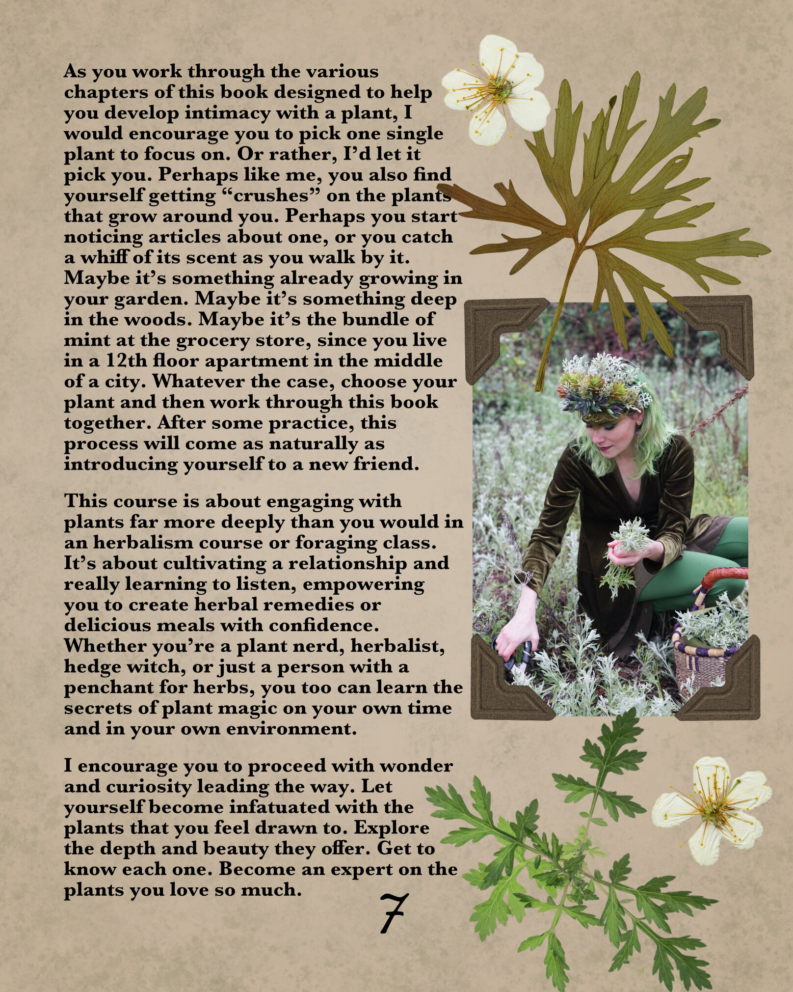 plant magic page 7.jpg