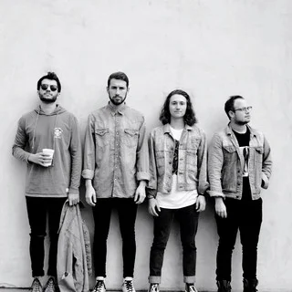 THE Band CAMINO BJJ.jpg