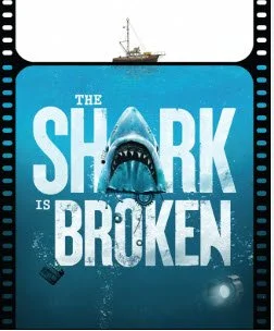 shark 2.jpg