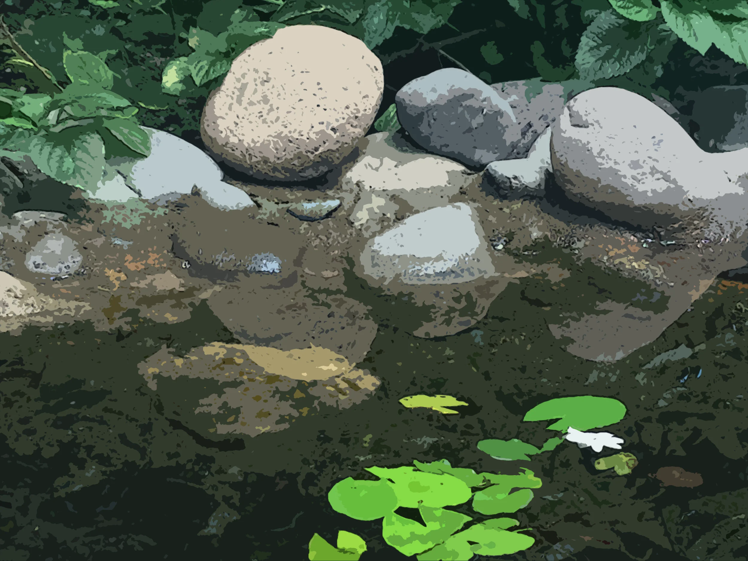 pond.jpg