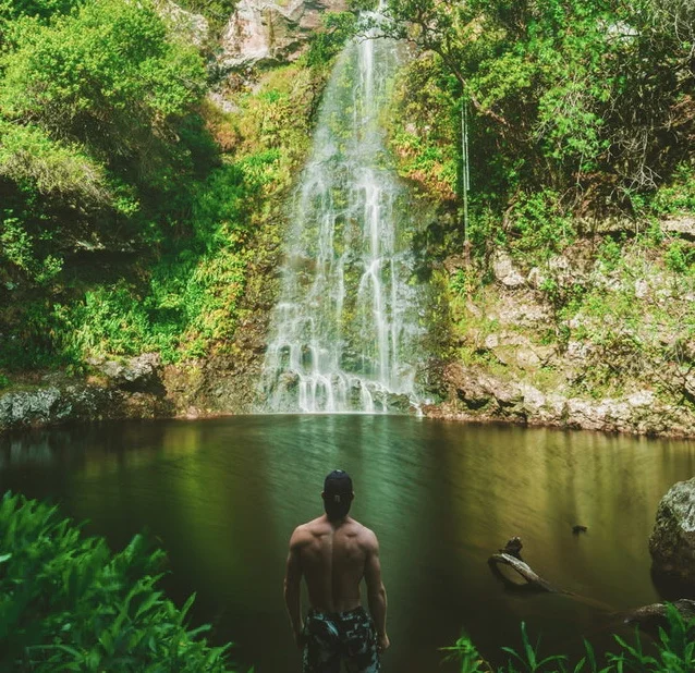 Image by Unsplash