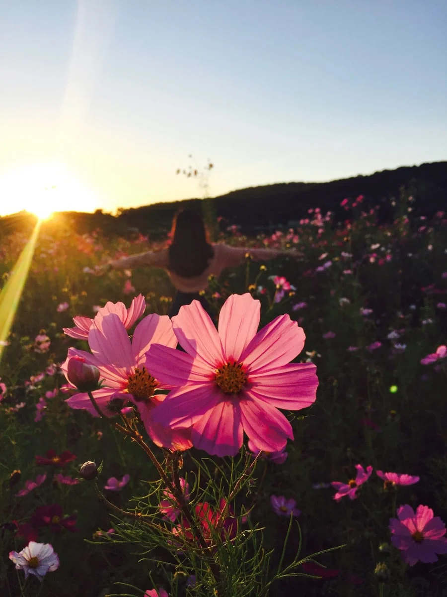 Image from Unsplash