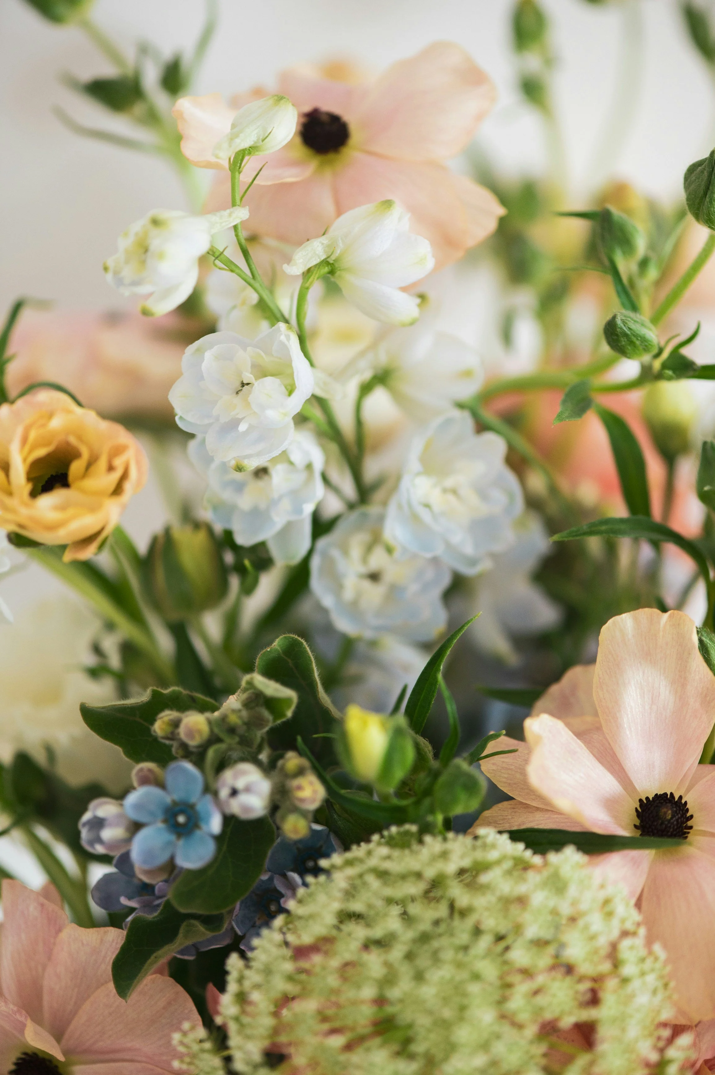 LIFE GROUP: A Day for Moms