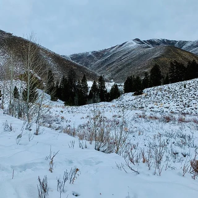 Snow filled clouds above us. Finally.
