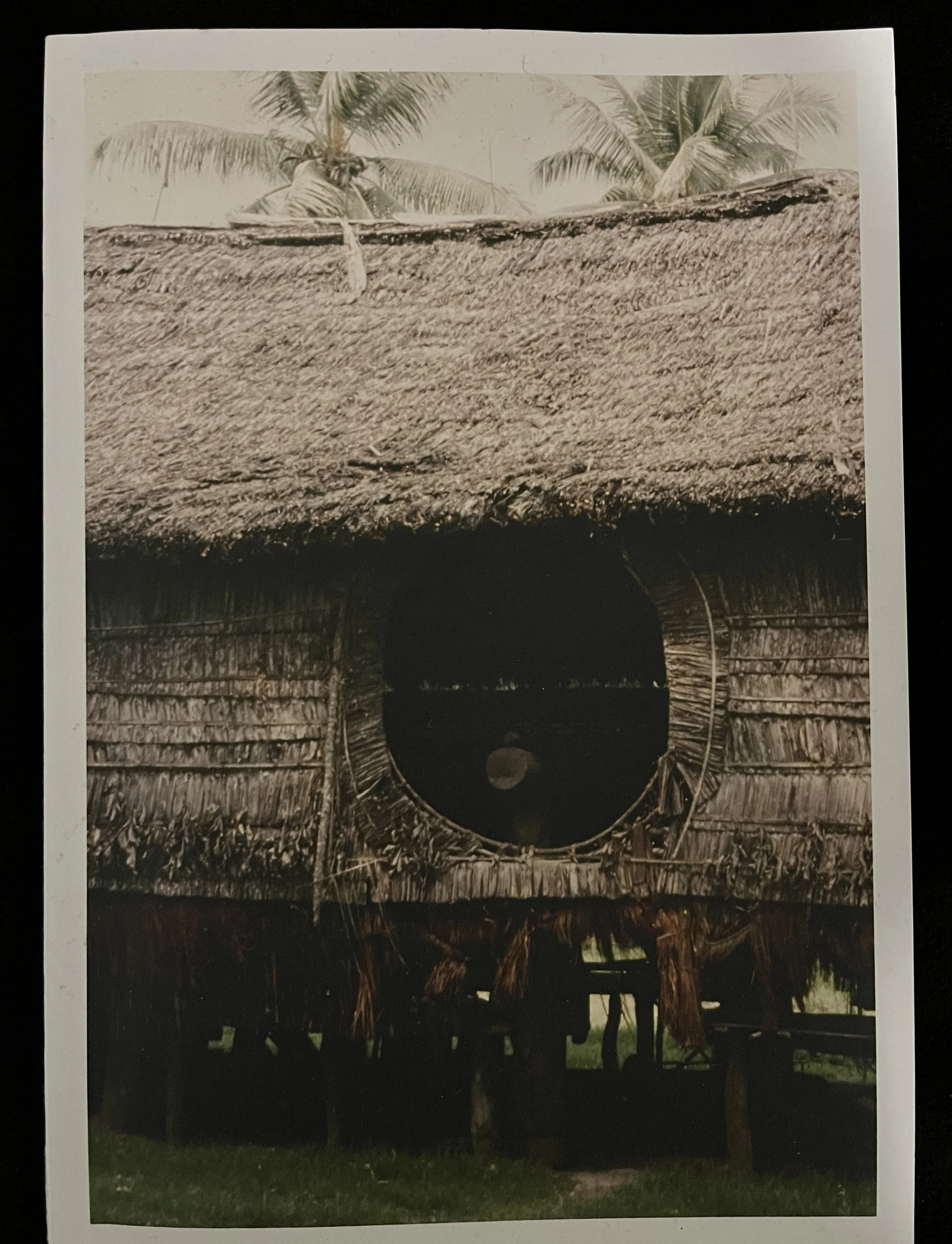 Oceanic Architectural Routes: The Work of Mike Austin