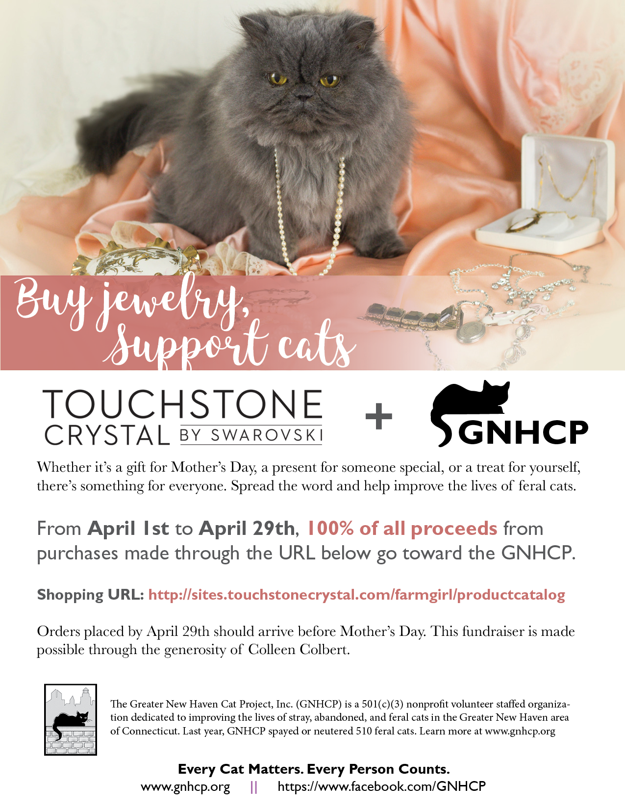 touchstone-fundraiser-2018.png