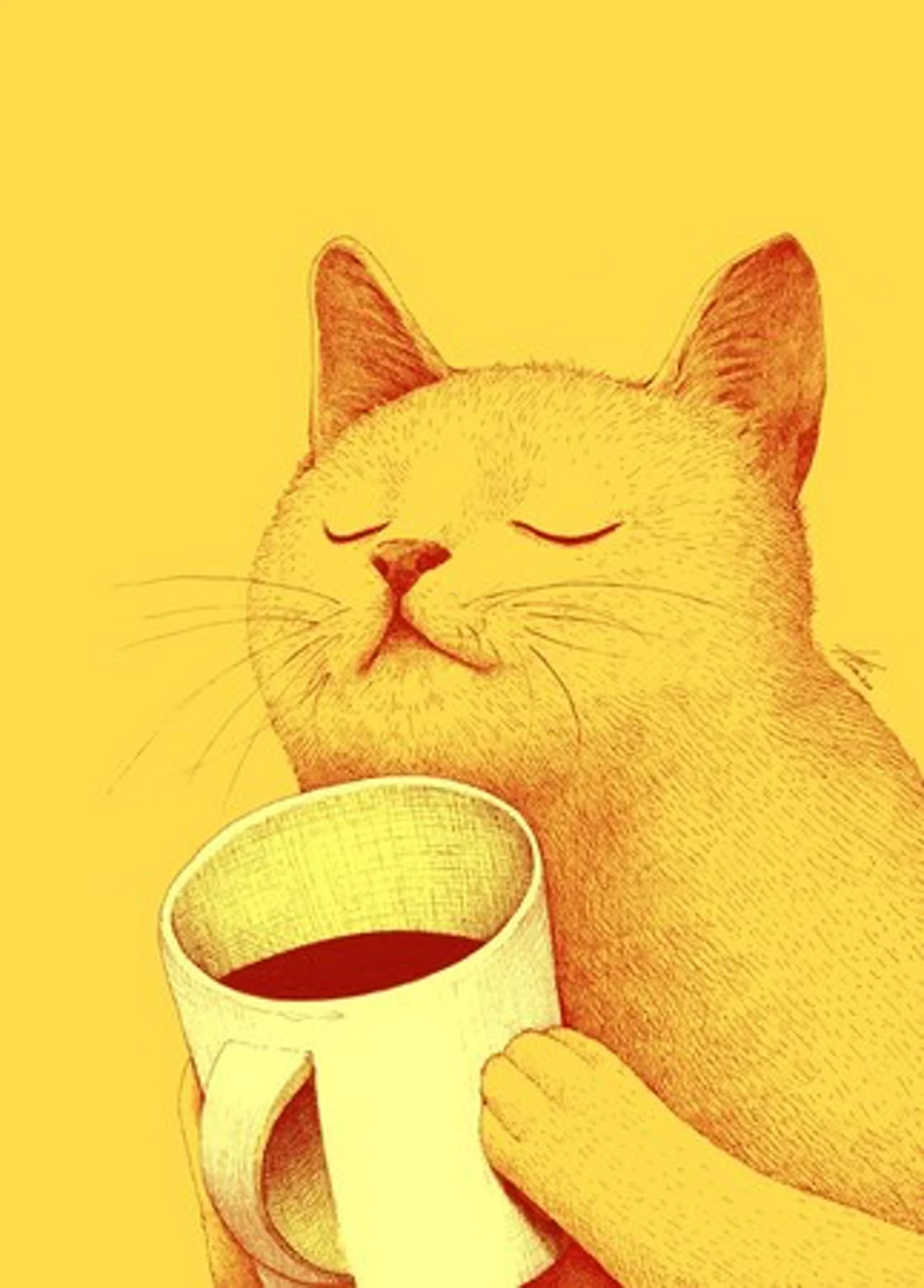 Coffee and Cats