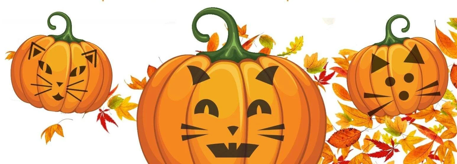 Pumpkin Arts and Crafts Fundraiser for Cats