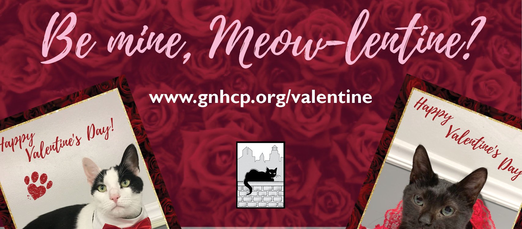 Valentines Card Sales
