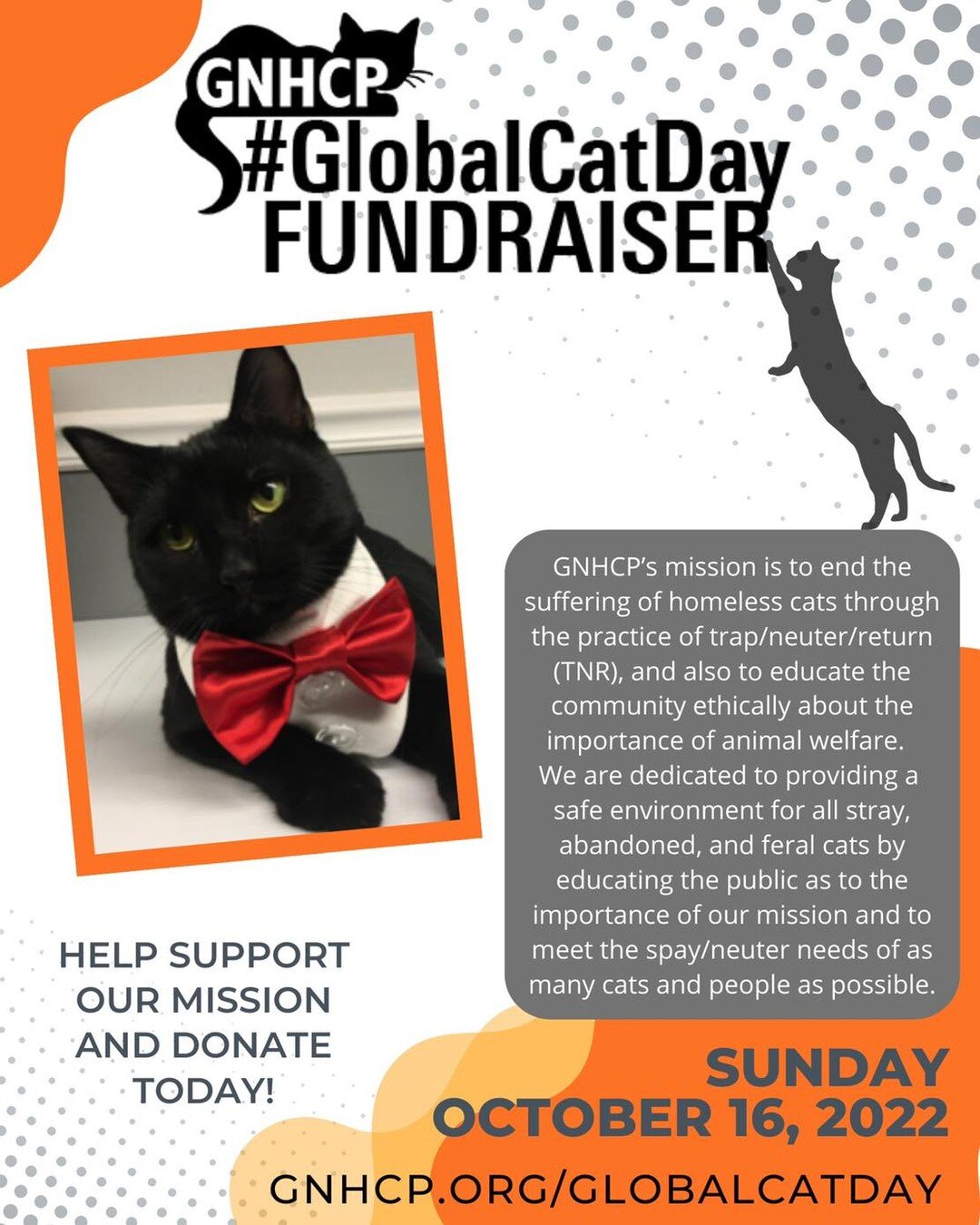 Please save the date for the the 2022 Global Cat Day fundraiser 😺 This is an online fundraiser for GNHCP to raise funds for our TNR program &hearts;️🐾

Our TNR program assists people who are feeding feral cats to ensure the feral cats are vaccinate