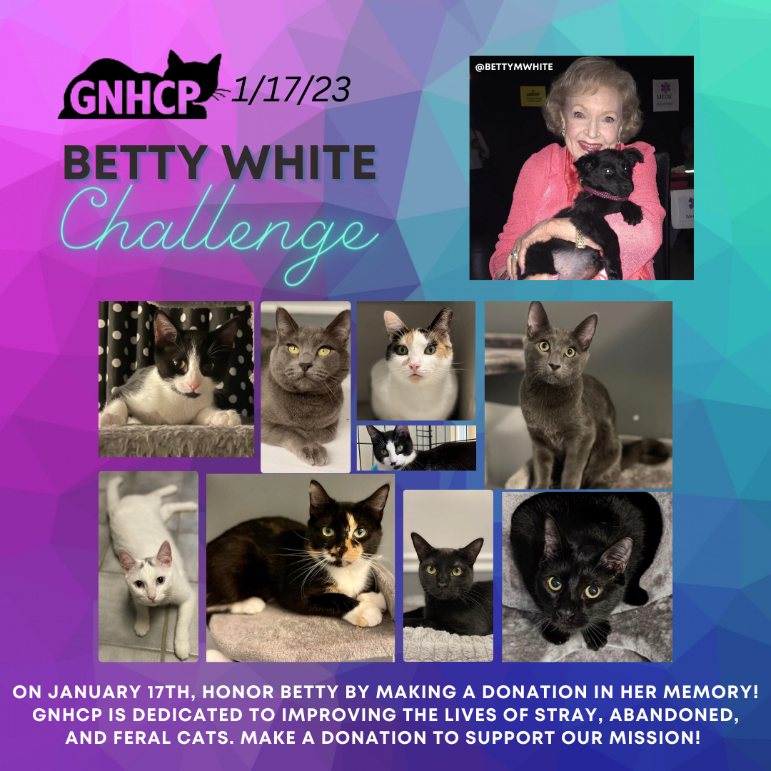 Betty White Fundraising Challenge