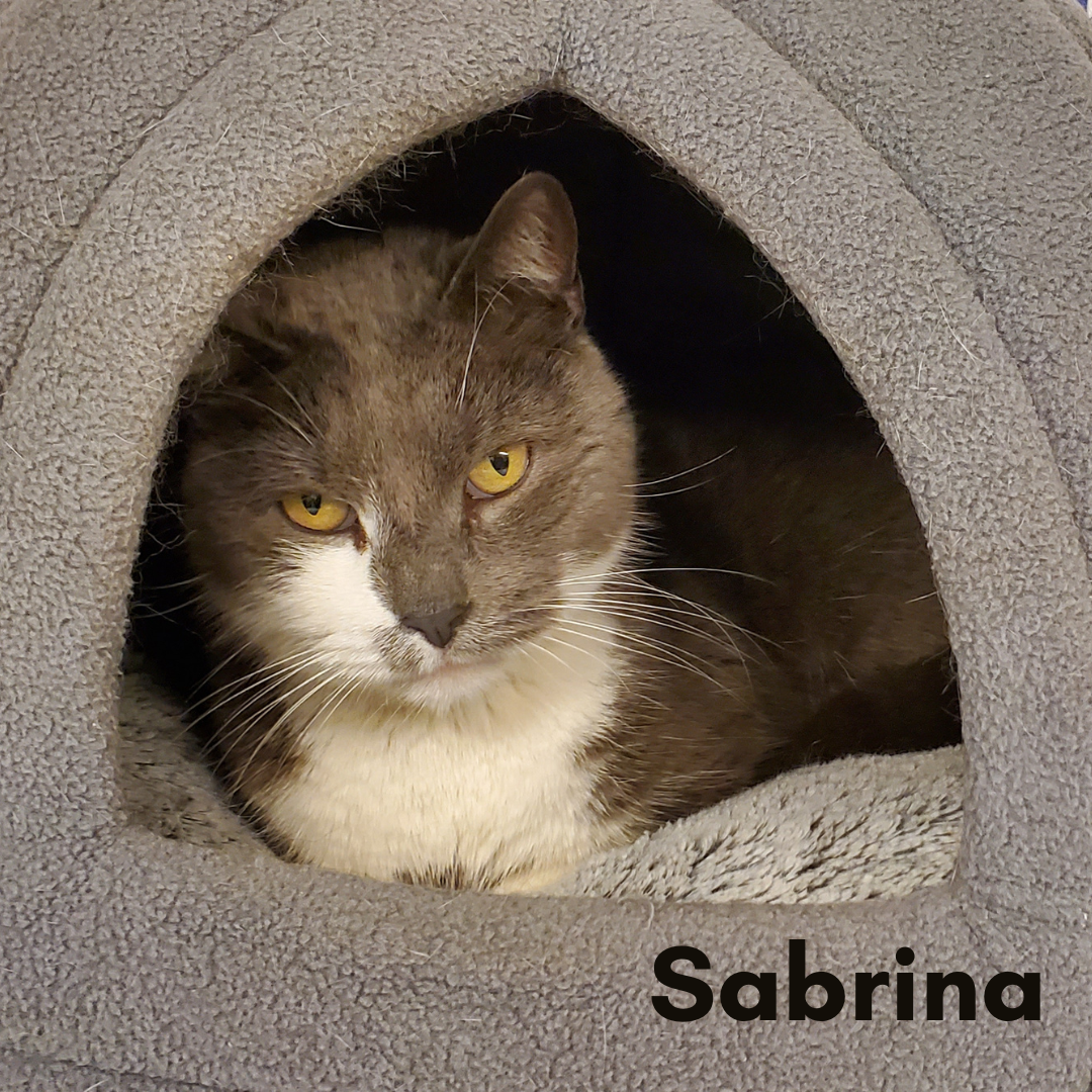 Sabrina