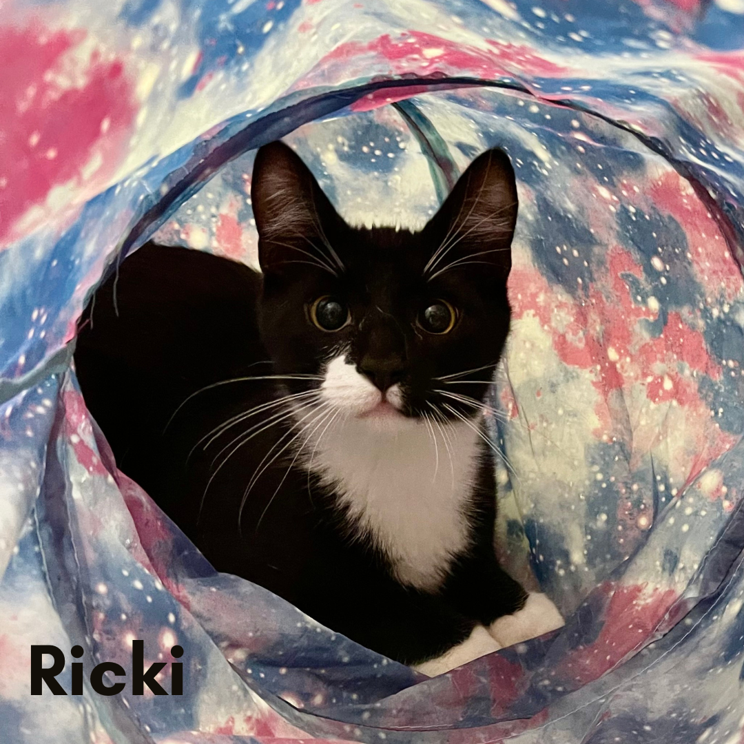 Ricki