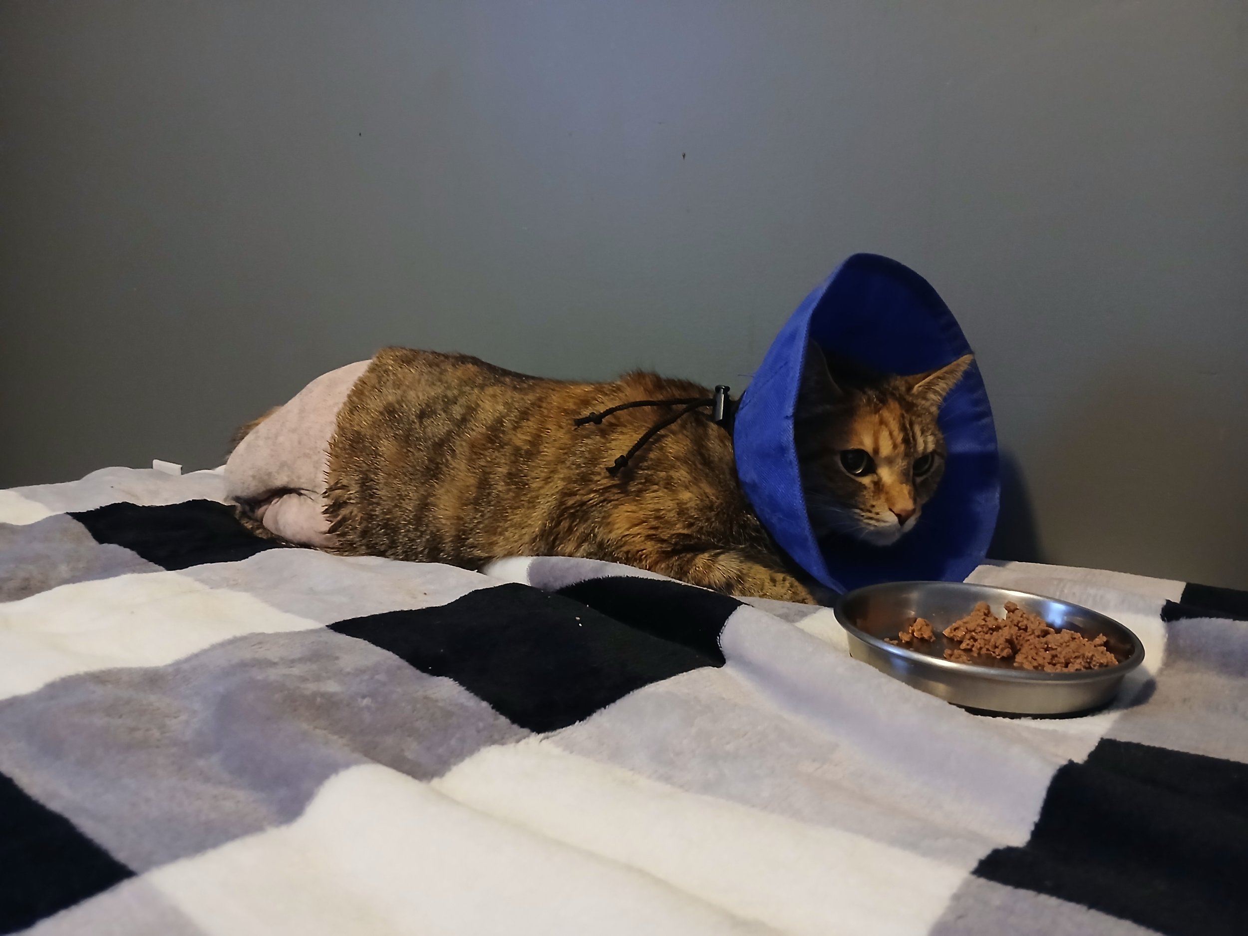 Aziza in foster care.jpg