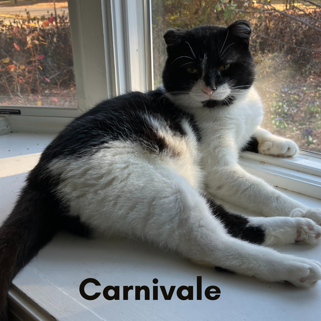 Carnivale