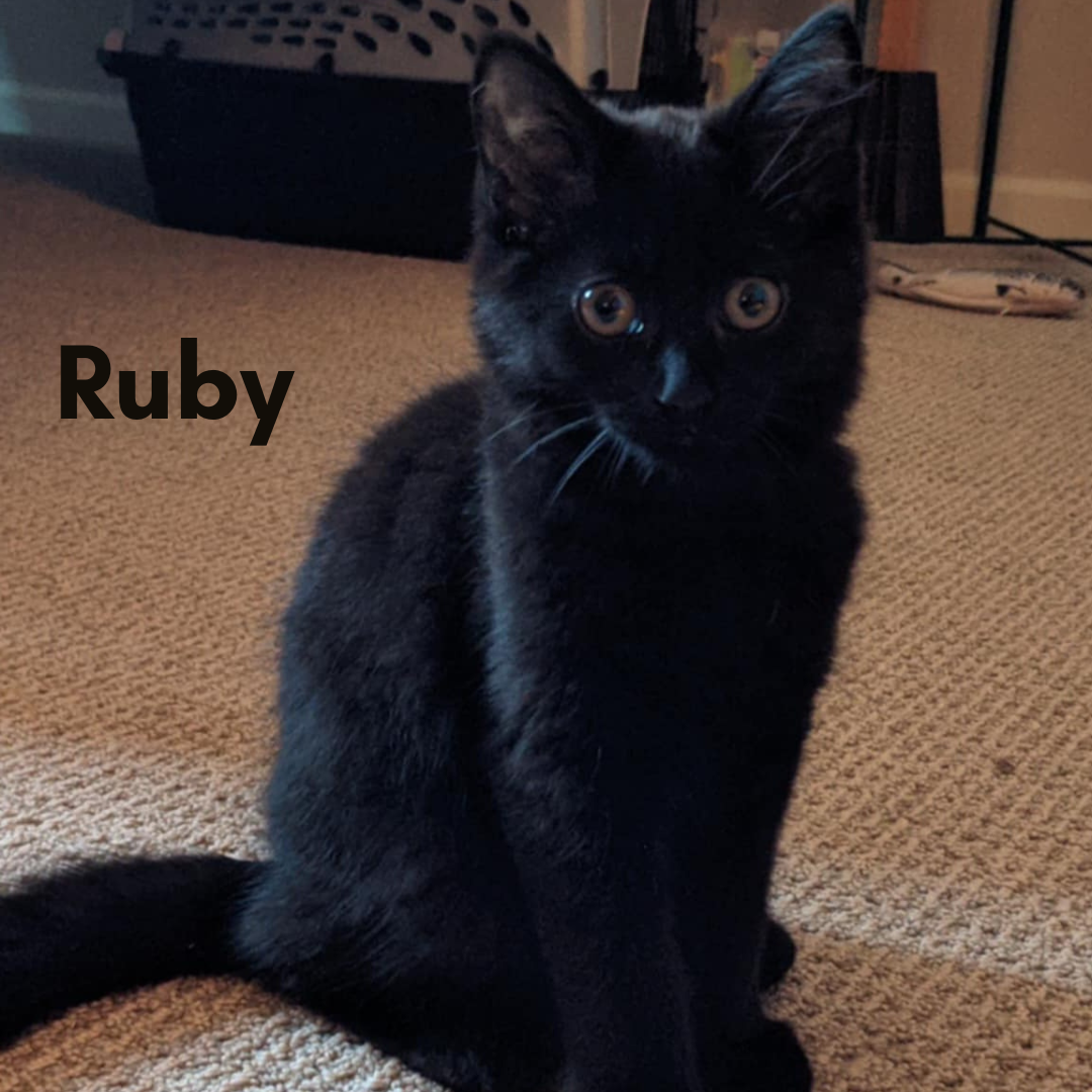 Ruby