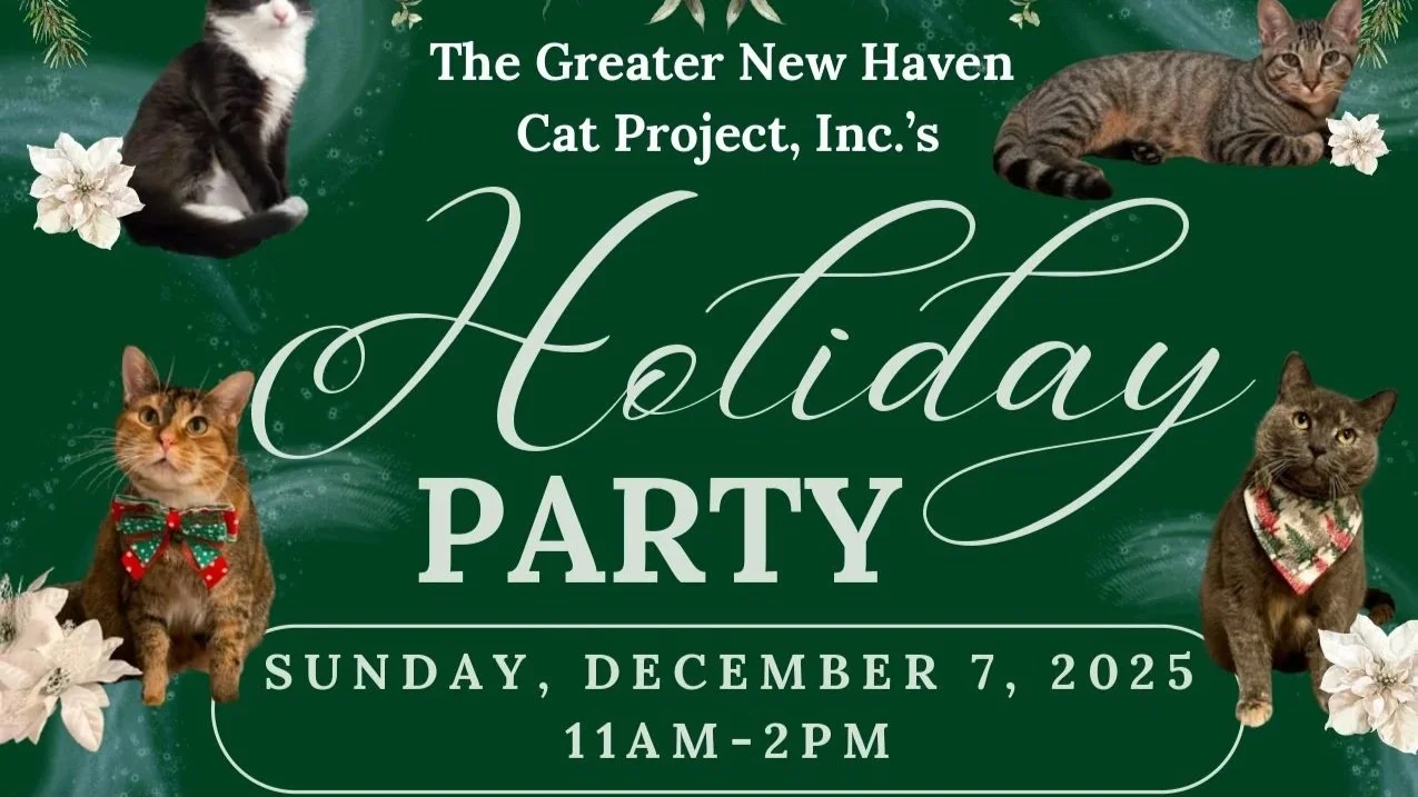 Holiday Party